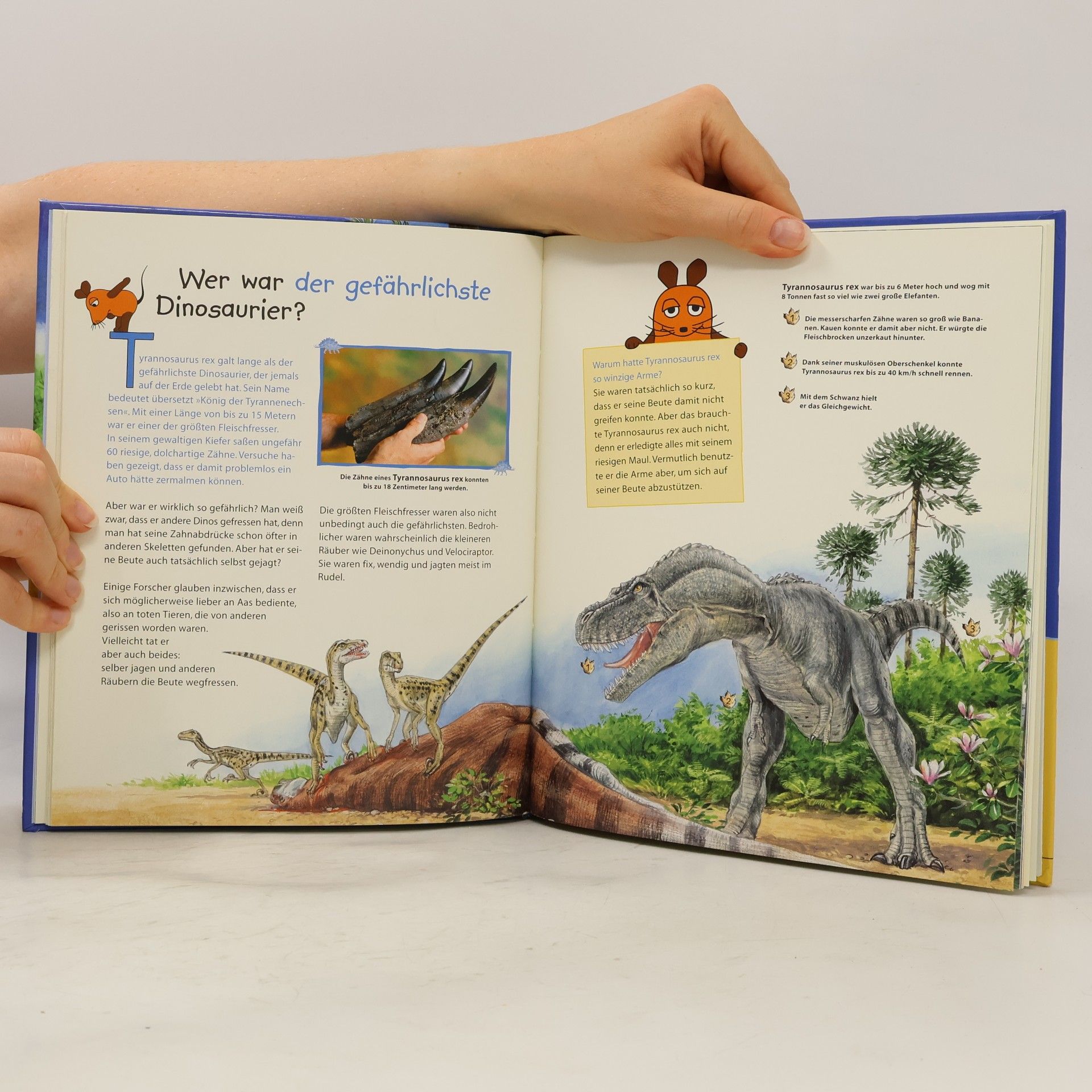 Heike Tober Dinosaurier