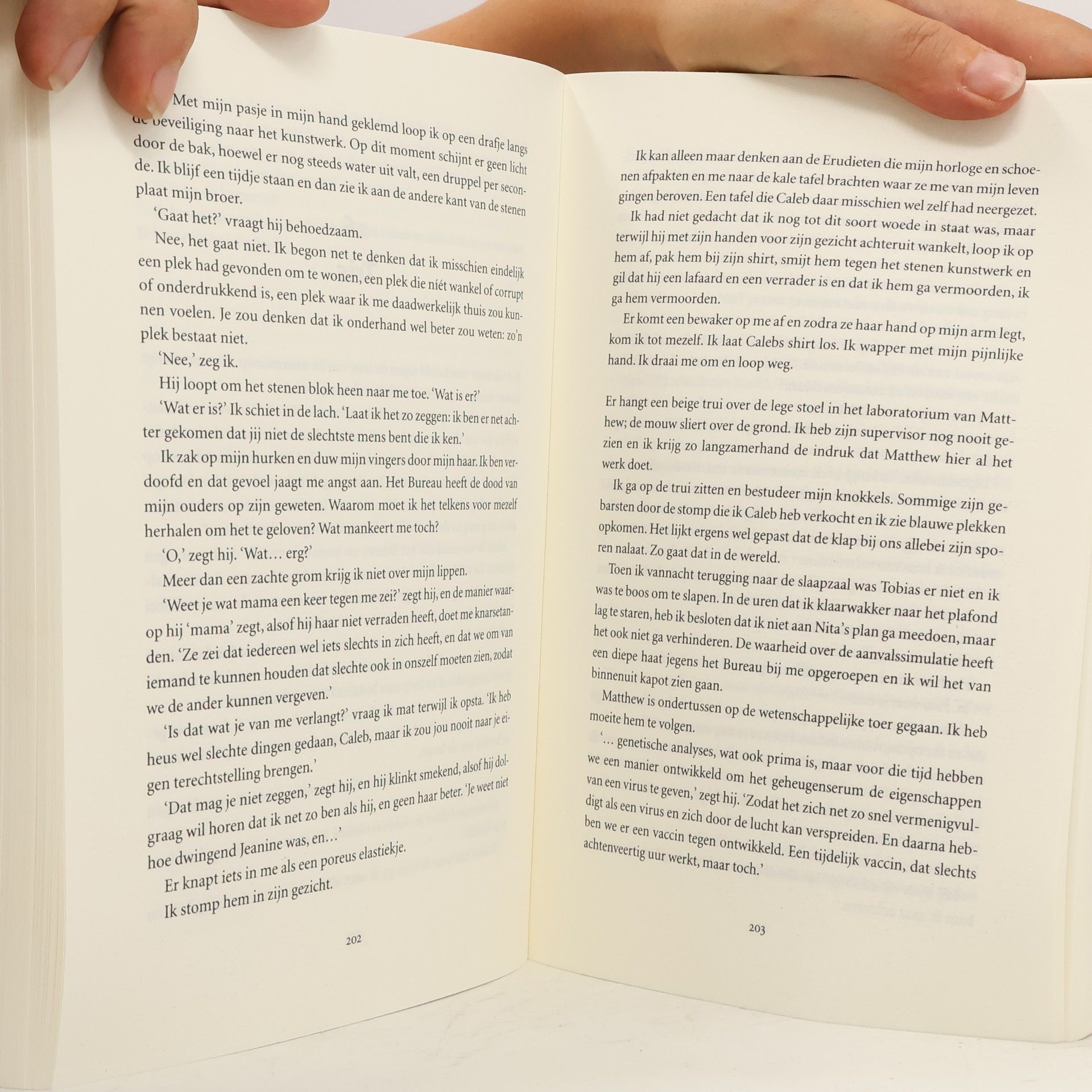 Maria Postema Divergent - 3: Samensmelting