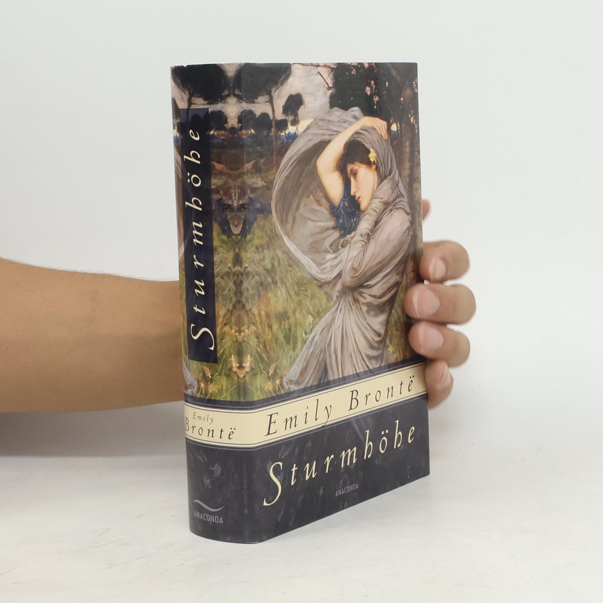 Emily Brontë Sturmhöhe