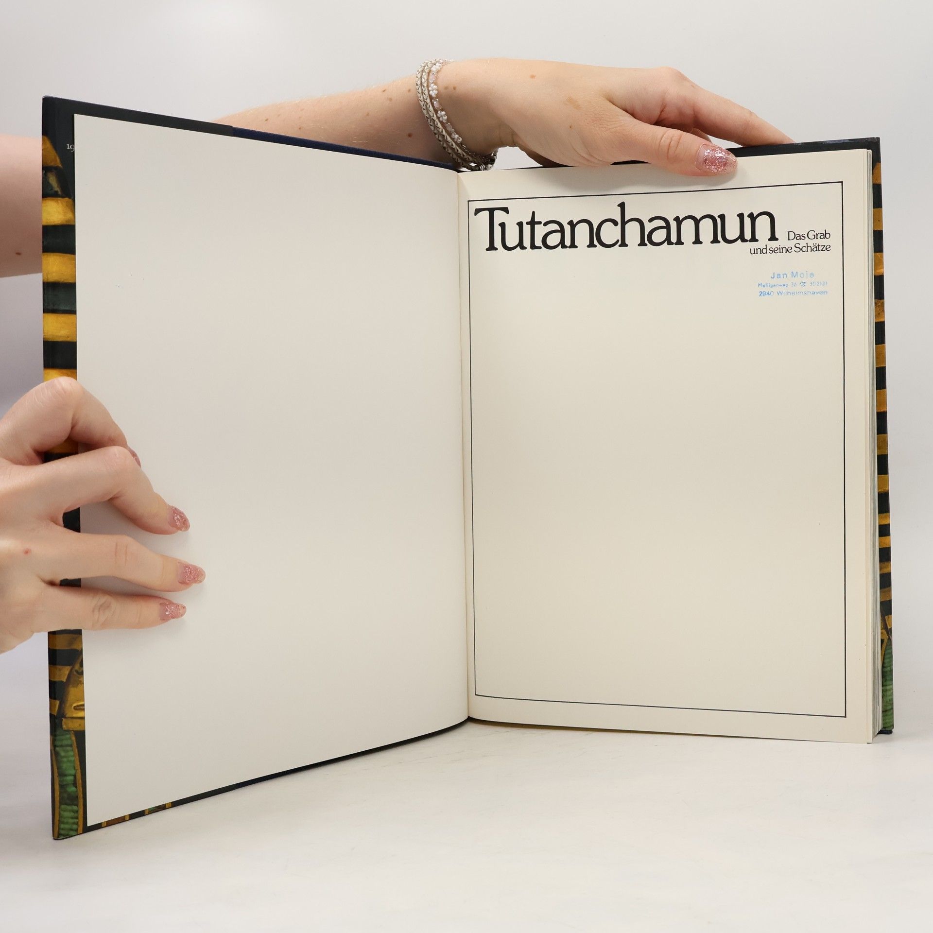 Auteurscollectief Tutanchamun. Das grab seine Schätze