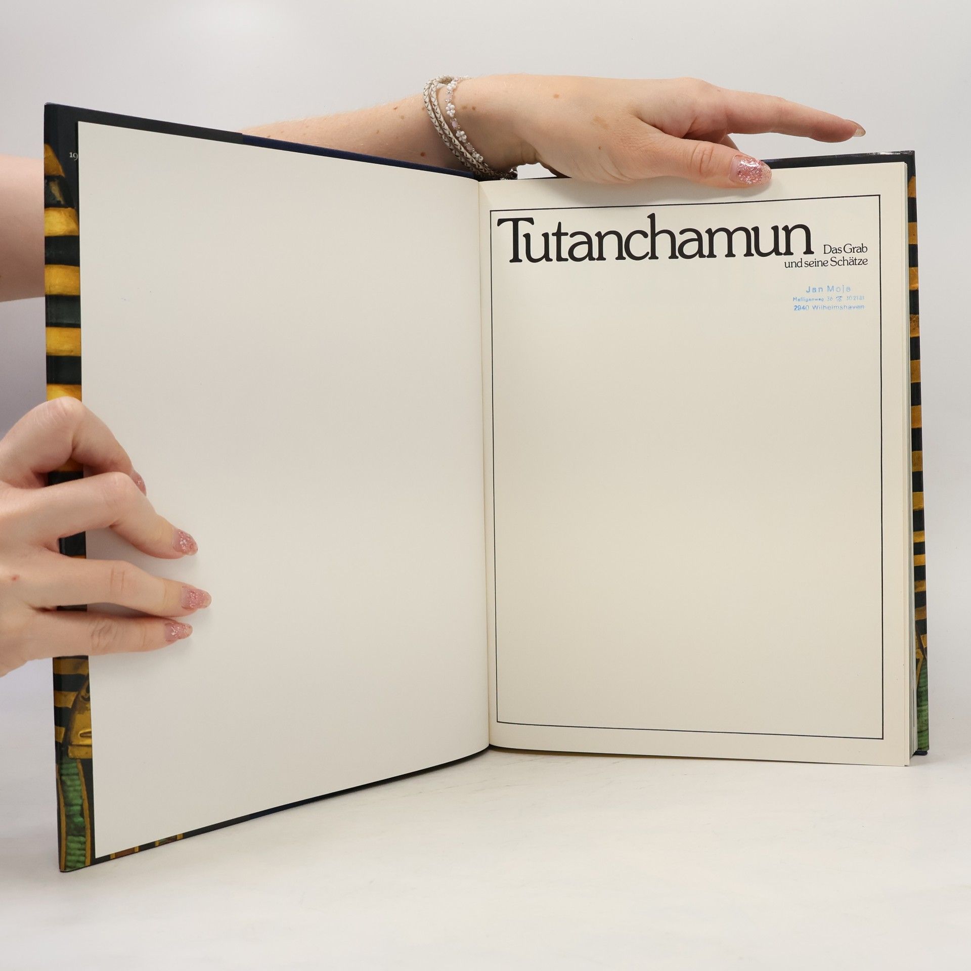 Auteurscollectief Tutanchamun. Das grab seine Schätze