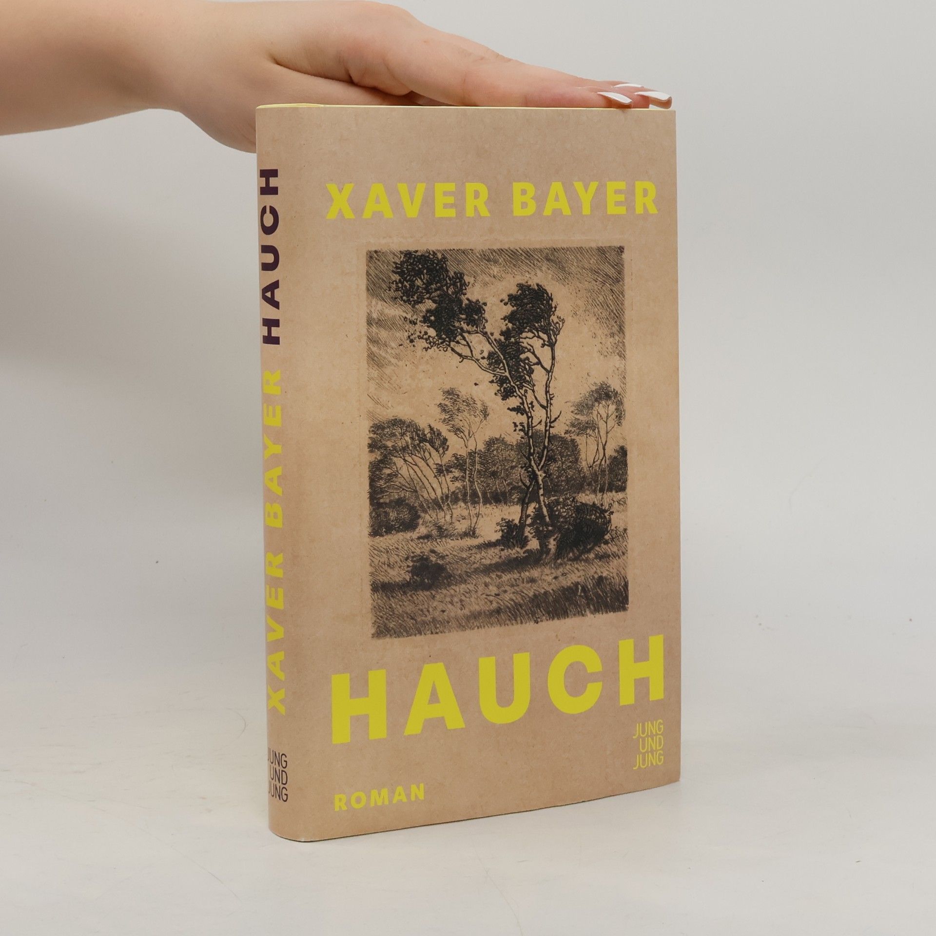 Hauch