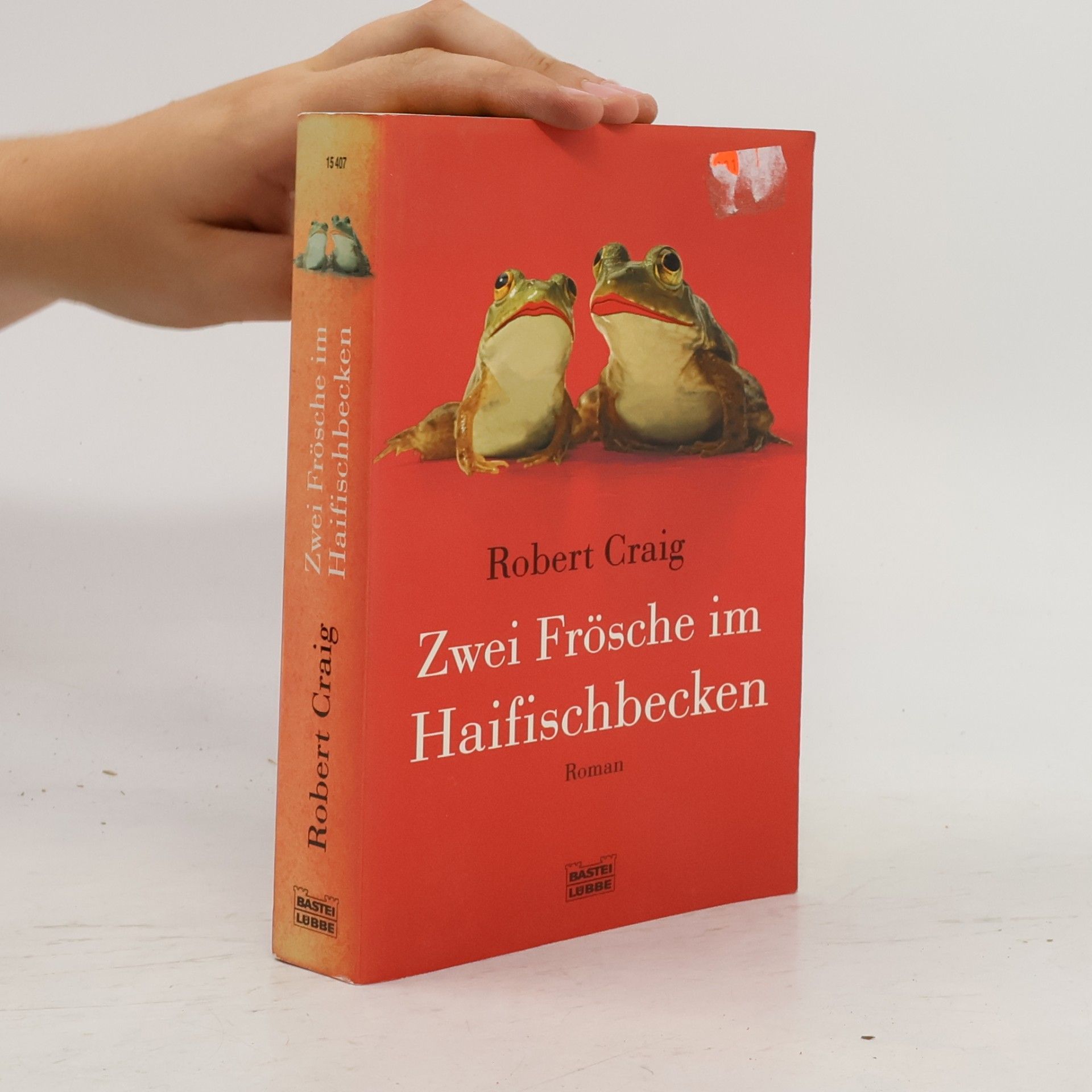 Stefanie Retterbush Zwei Frösche im Haifischbecken