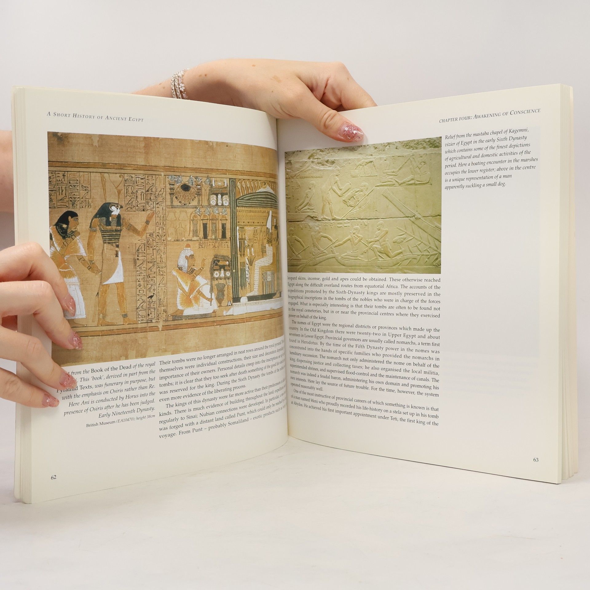 Thomas Garnet Henry James A Short History of Ancient Egypt