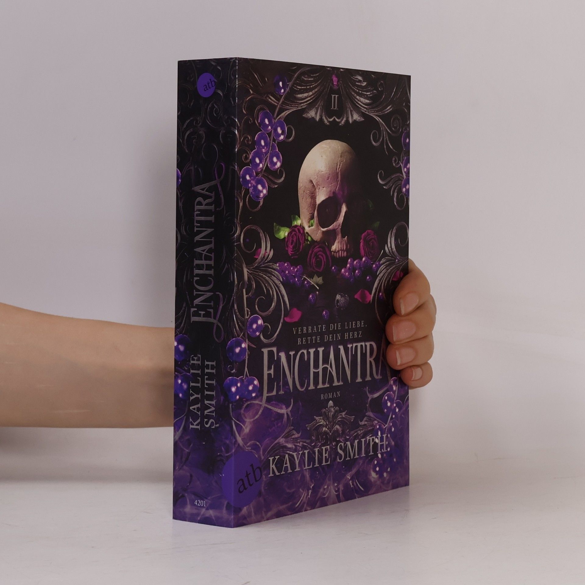 Kaylie Smith Enchantra – Verrate die Liebe, rette dein Herz
