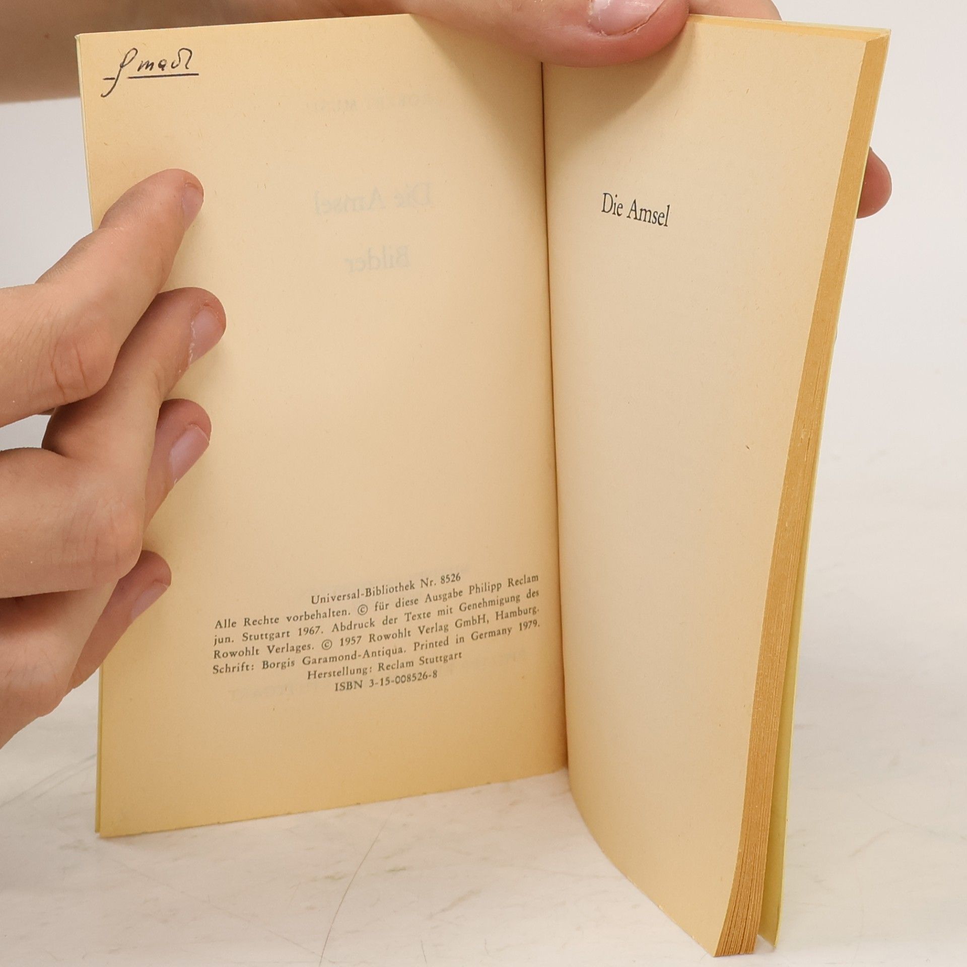 Robert Musil Die Amsel