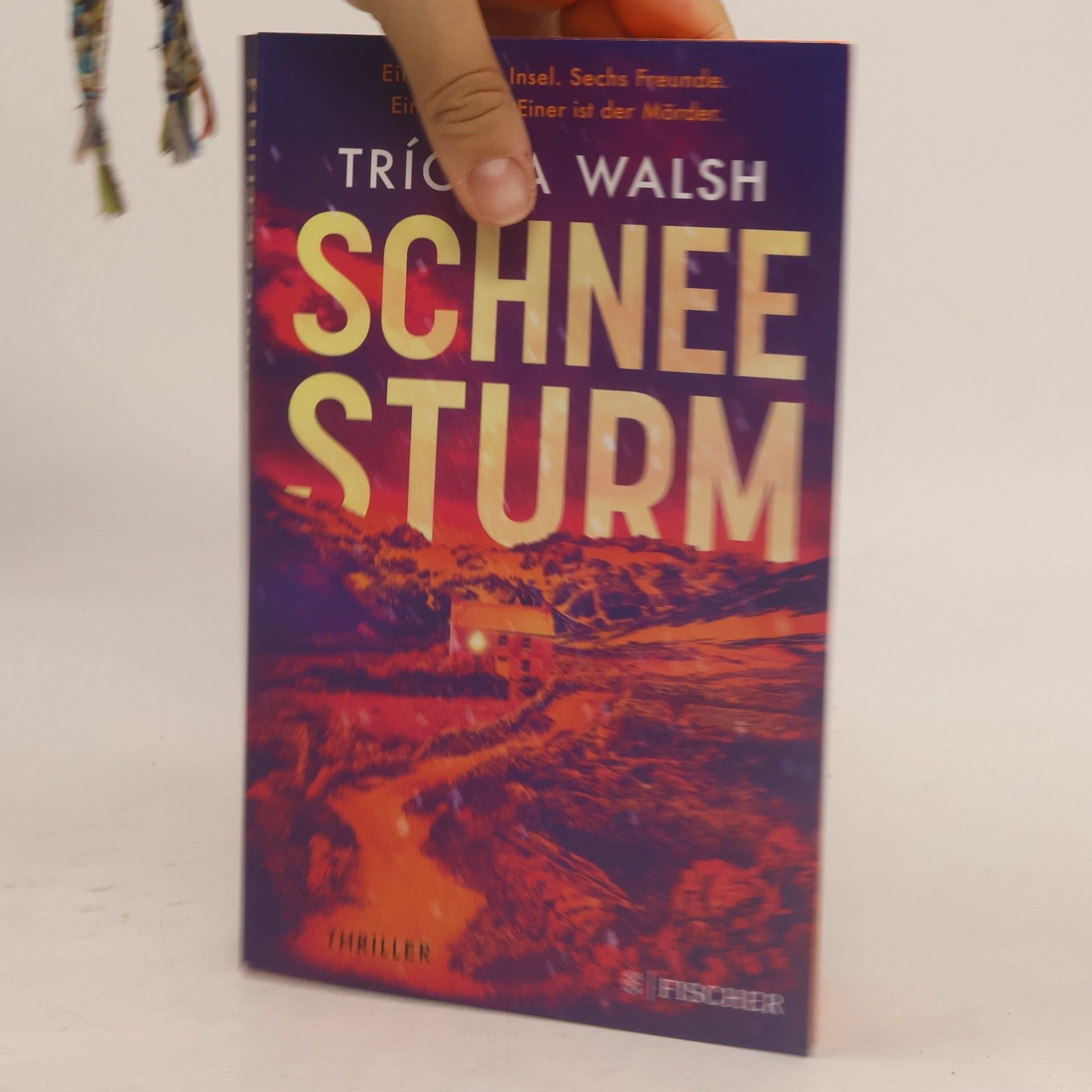 Tríona Walsh Schneesturm