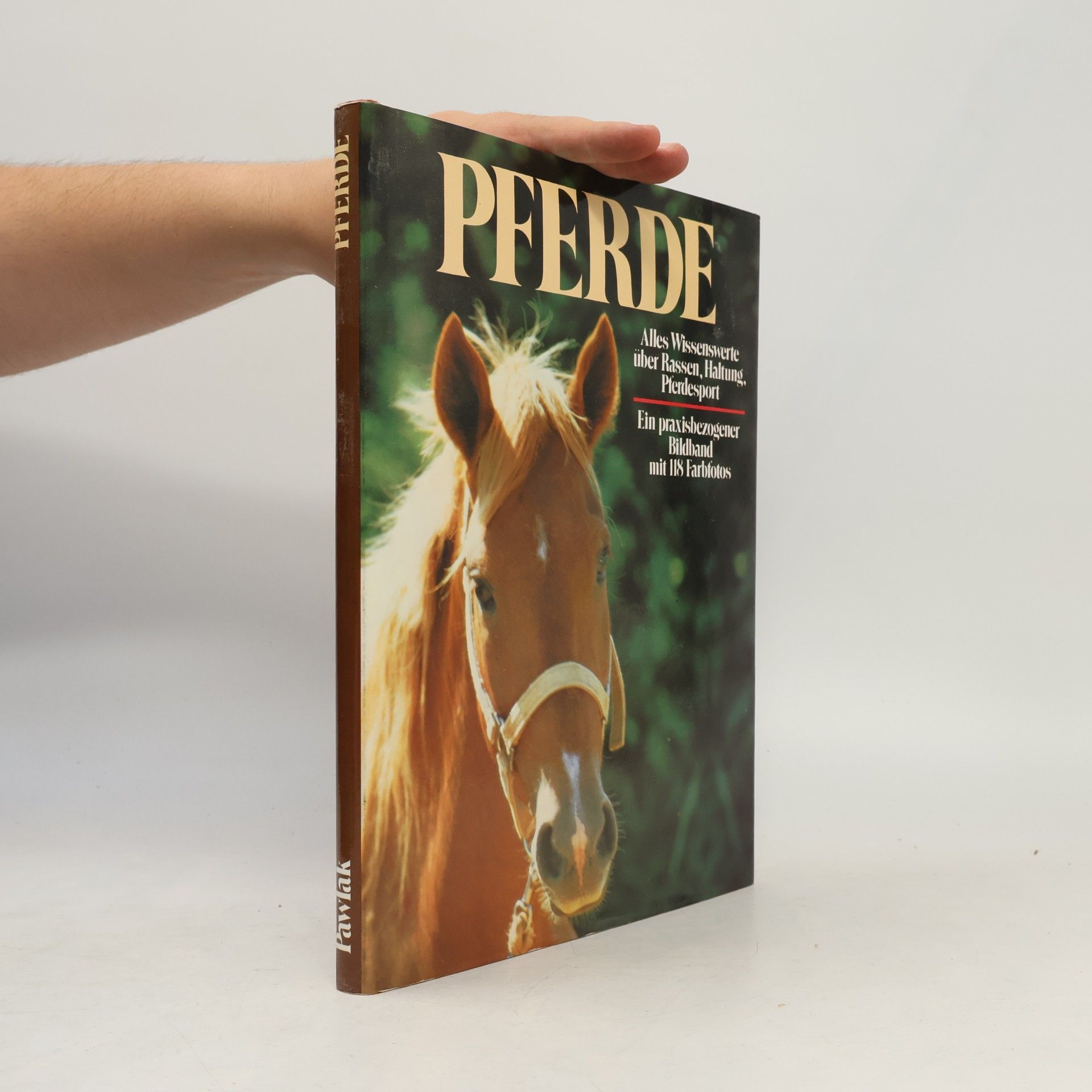 Kolektiv autorů Pferde