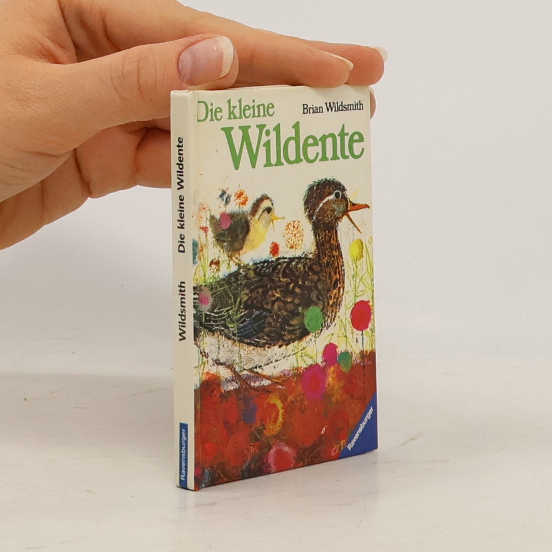 Die kleine Wildente