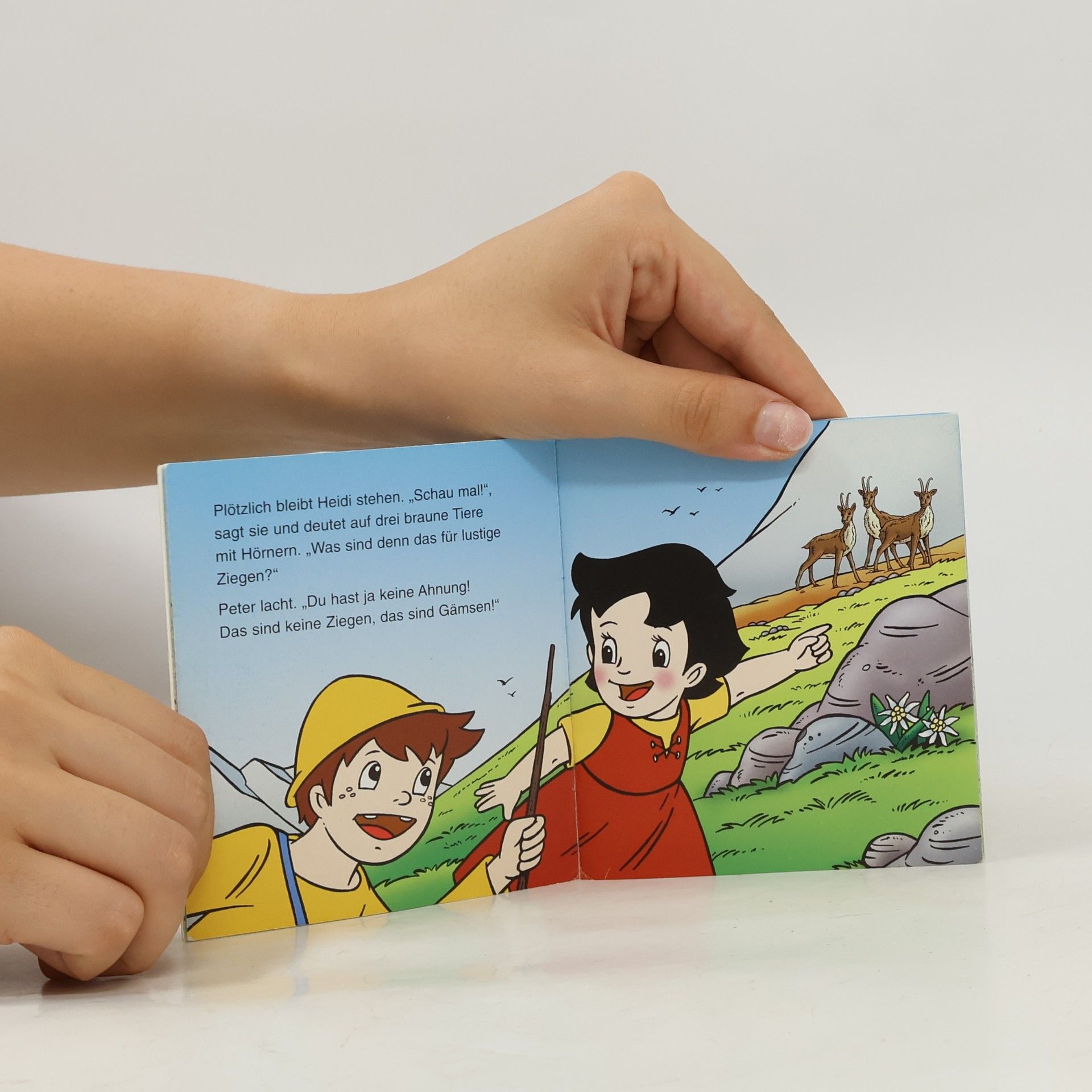 Autores varios Heidi. Ein Zuhause für Heidi