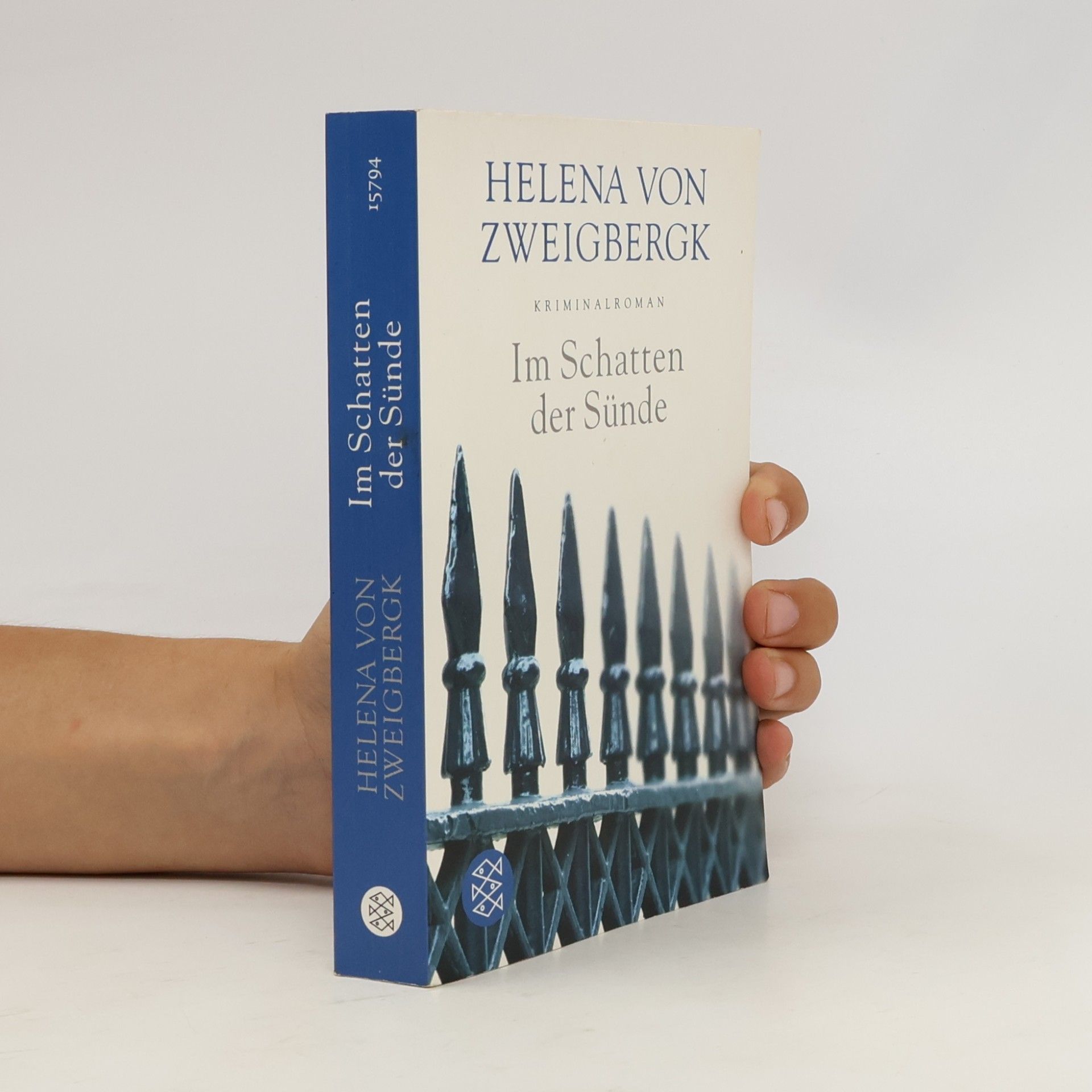 Helena von Zweigbergk Im Schatten der Sünde