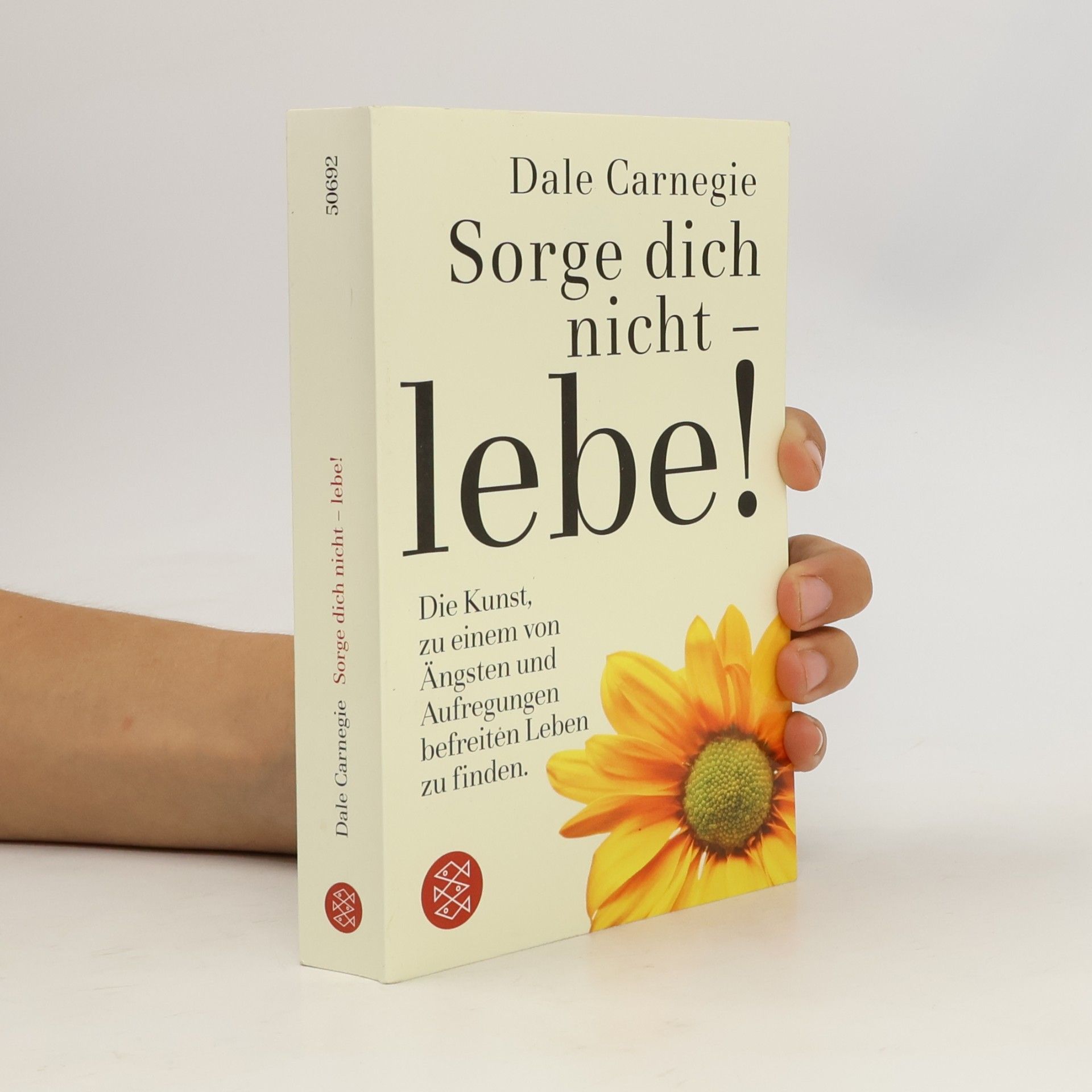 Dale Carnegie Sorge dich nicht - lebe!