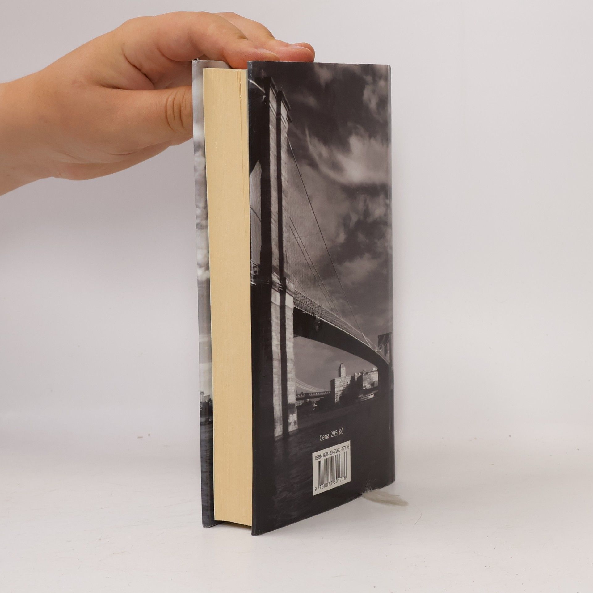 Paul Auster Brooklynské panoptikum