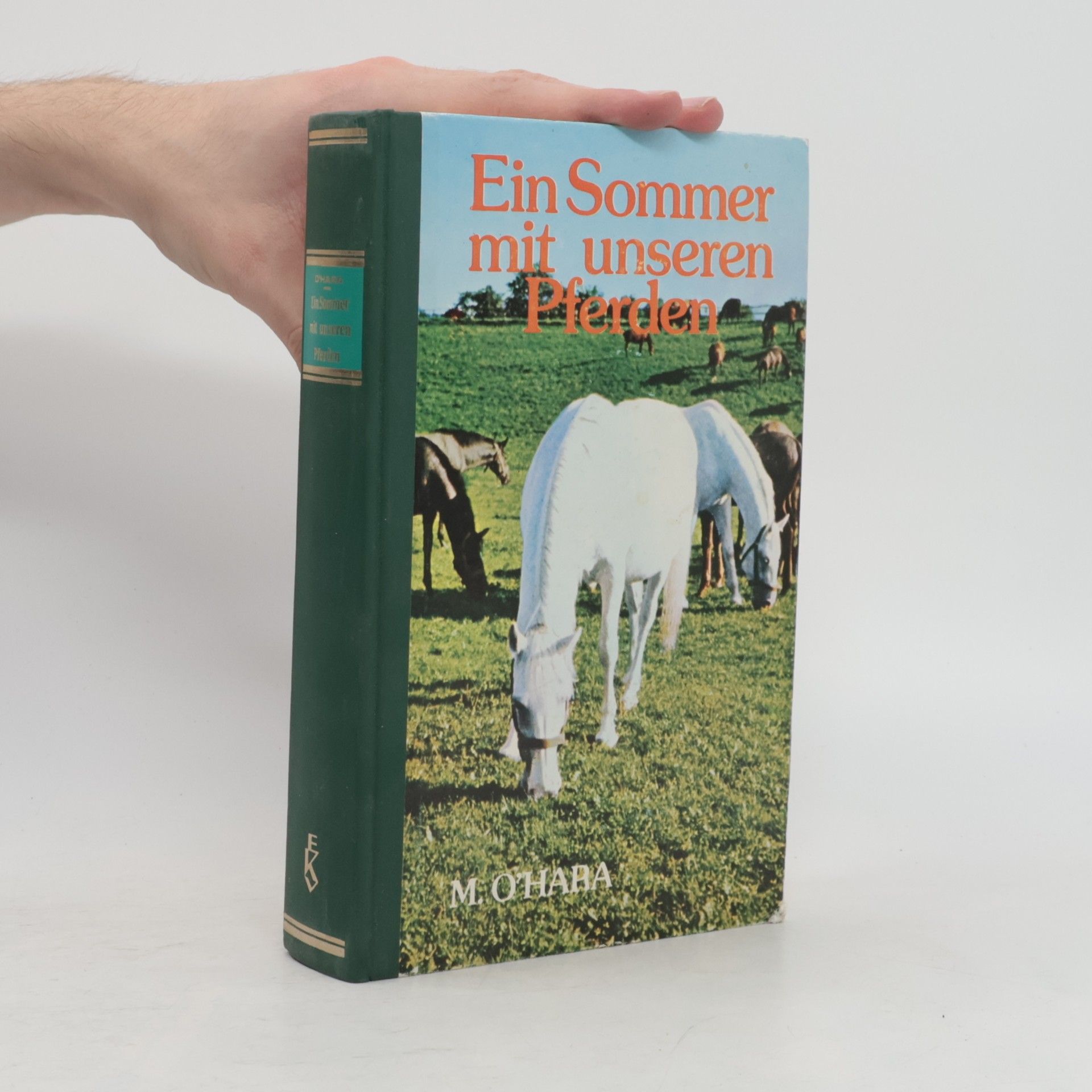 Mary O'Hara Ein Sommer mit unseren Pferden