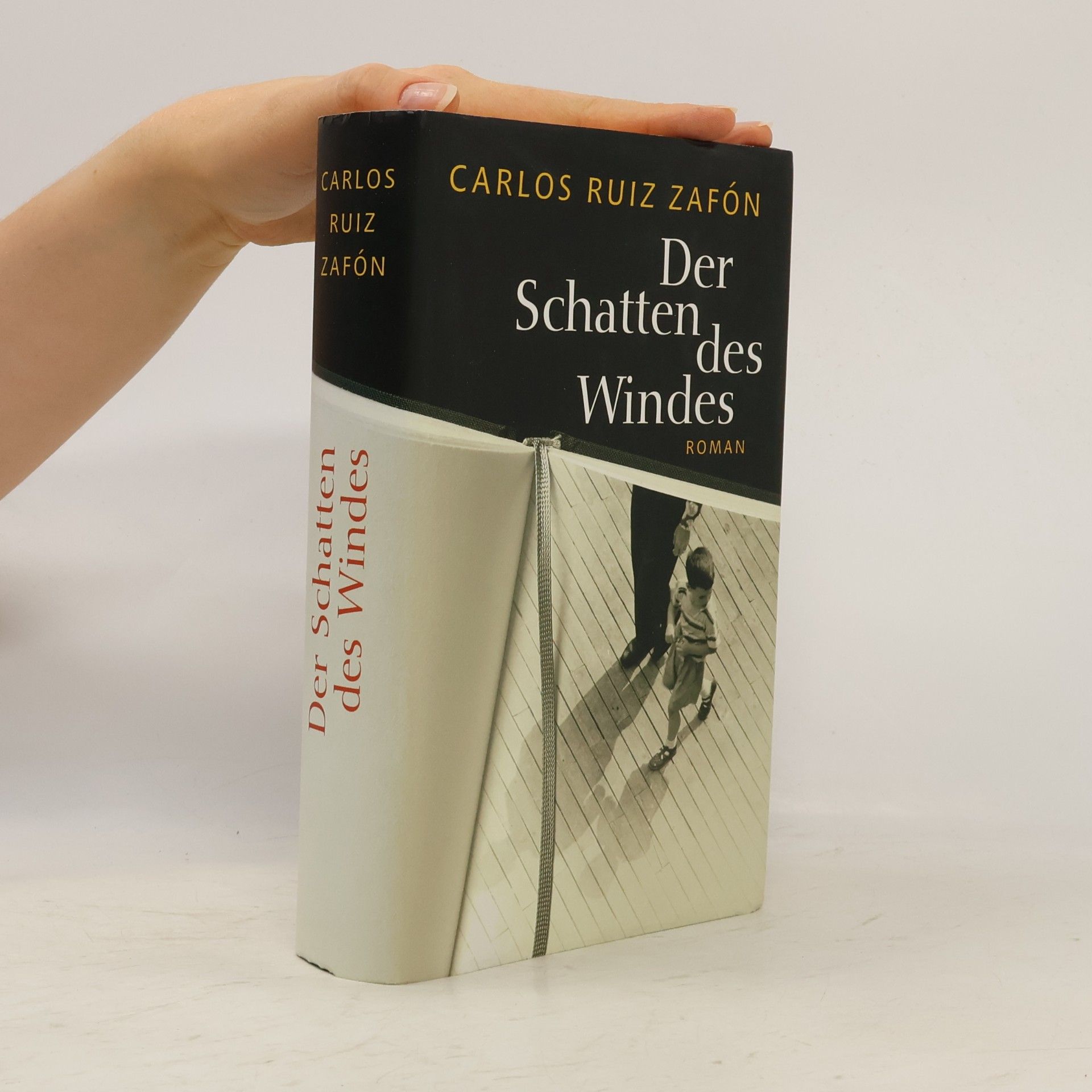Carlos Ruiz Zafón Der Schatten des Windes