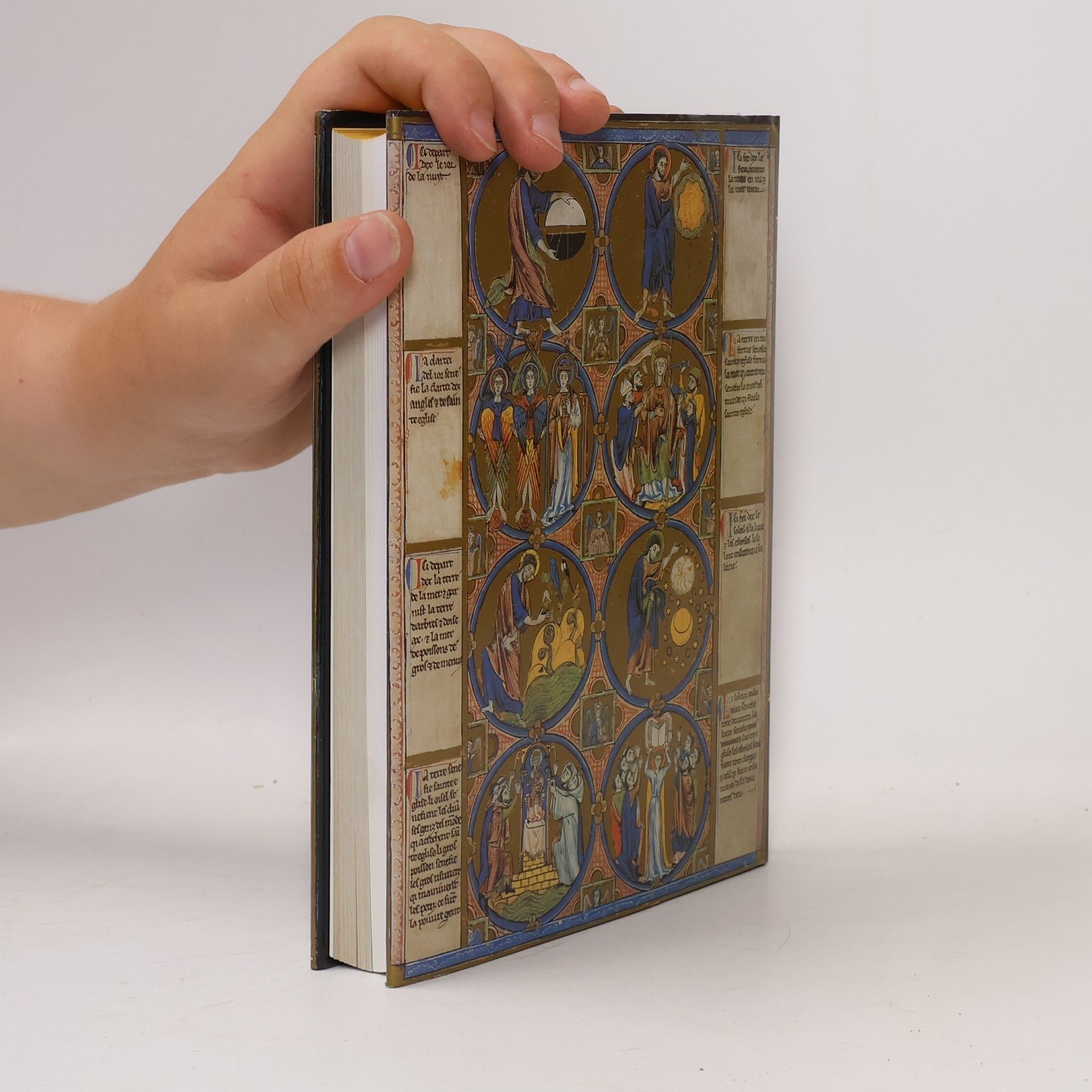Reiner Haussherr Bible moralisée (reprint)