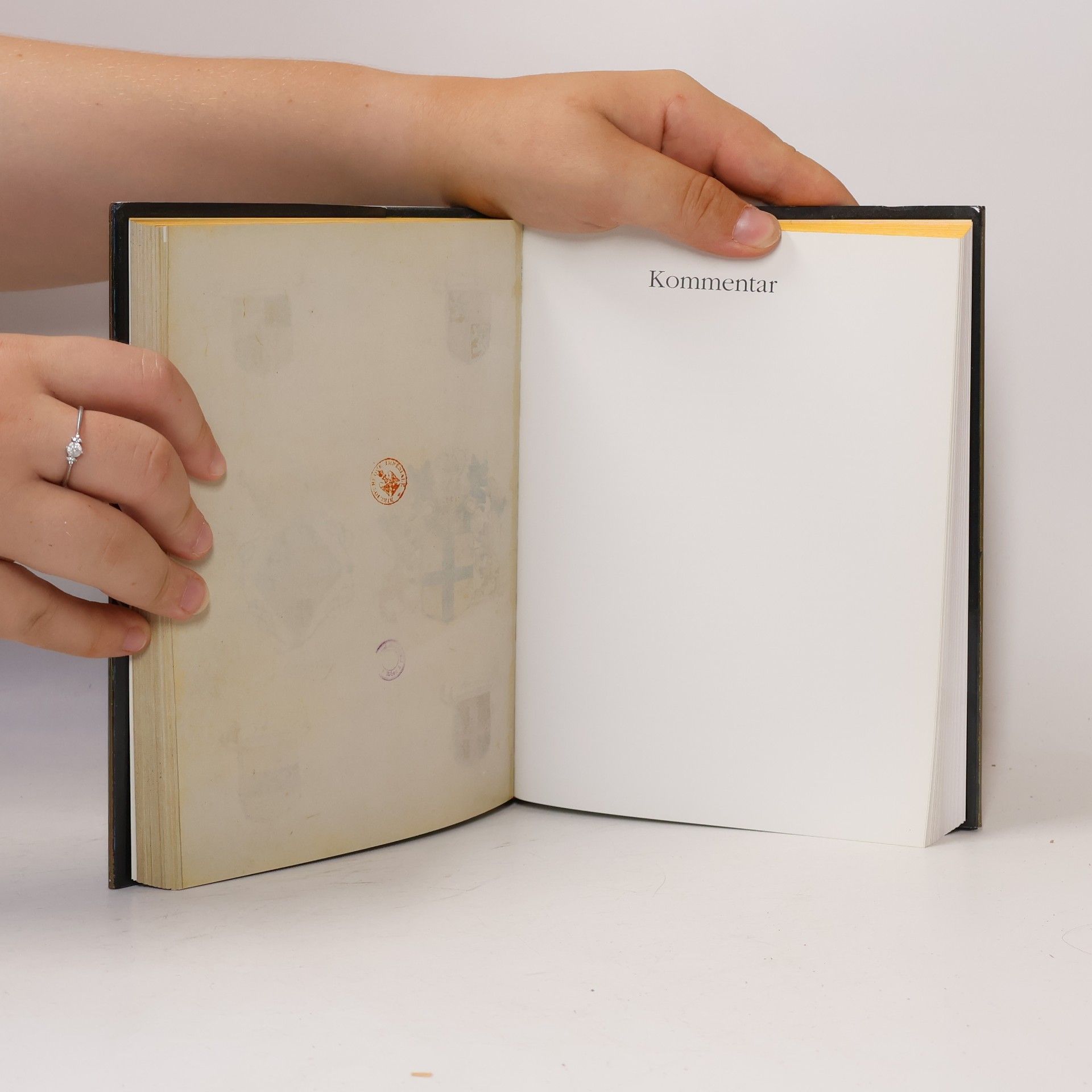 Reiner Haussherr Bible moralisée (reprint)