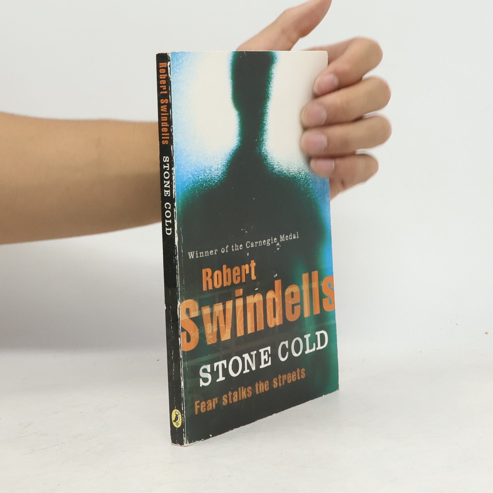 Robert Swindells Stone Cold