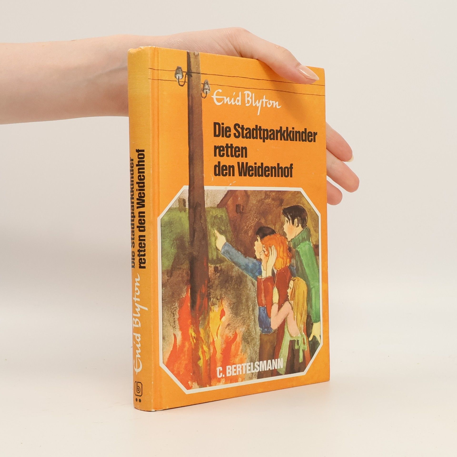 Enid Blyton Die Stadtparkkinder retten den Weidenhof