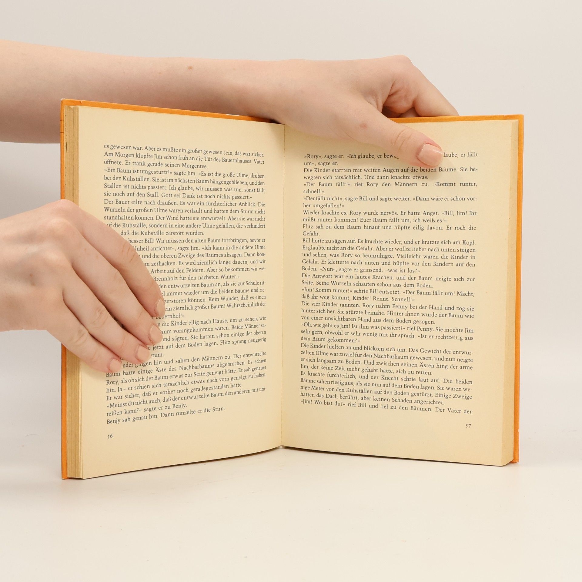 Enid Blyton Die Stadtparkkinder retten den Weidenhof