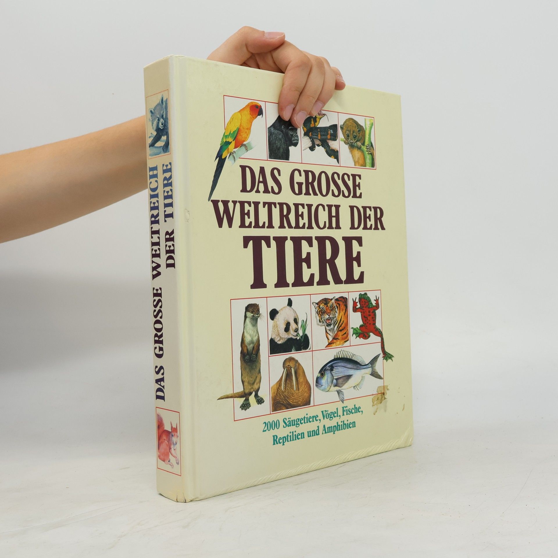 Dr Philip Whitfield Das grosse Weltreich der Tiere