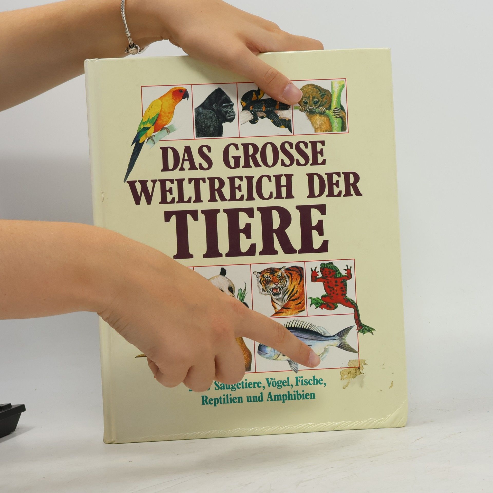 Dr Philip Whitfield Das grosse Weltreich der Tiere