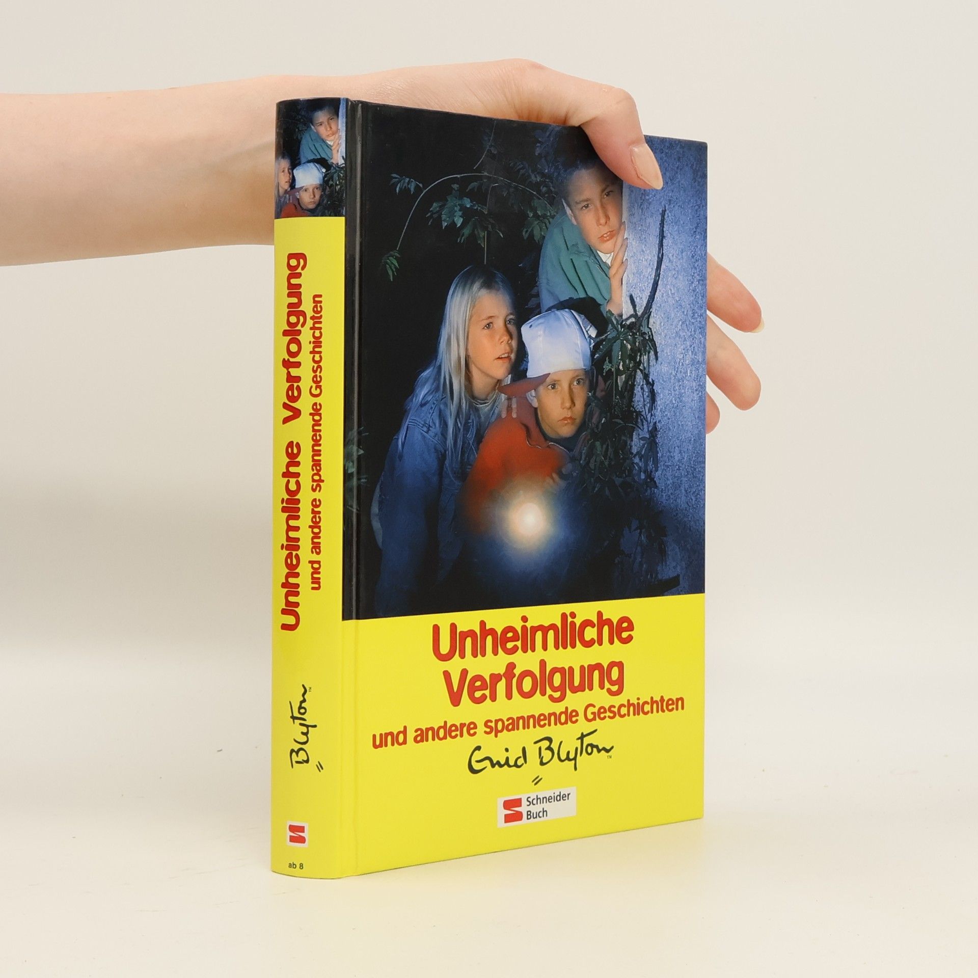 Enid Blyton Unheimliche Verfolgung und andere spannende Geschichten