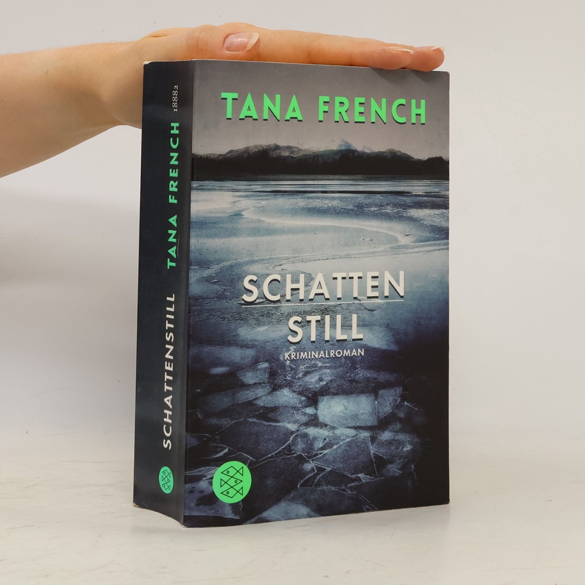 Tana French Schattenstill