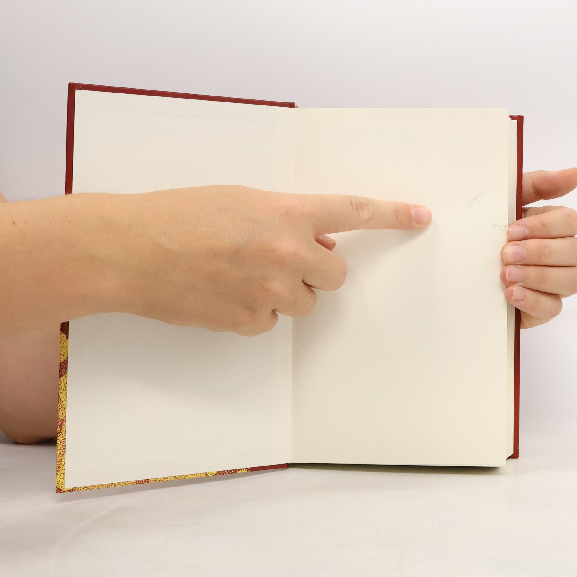 Autorenkollektiv Die Bibel