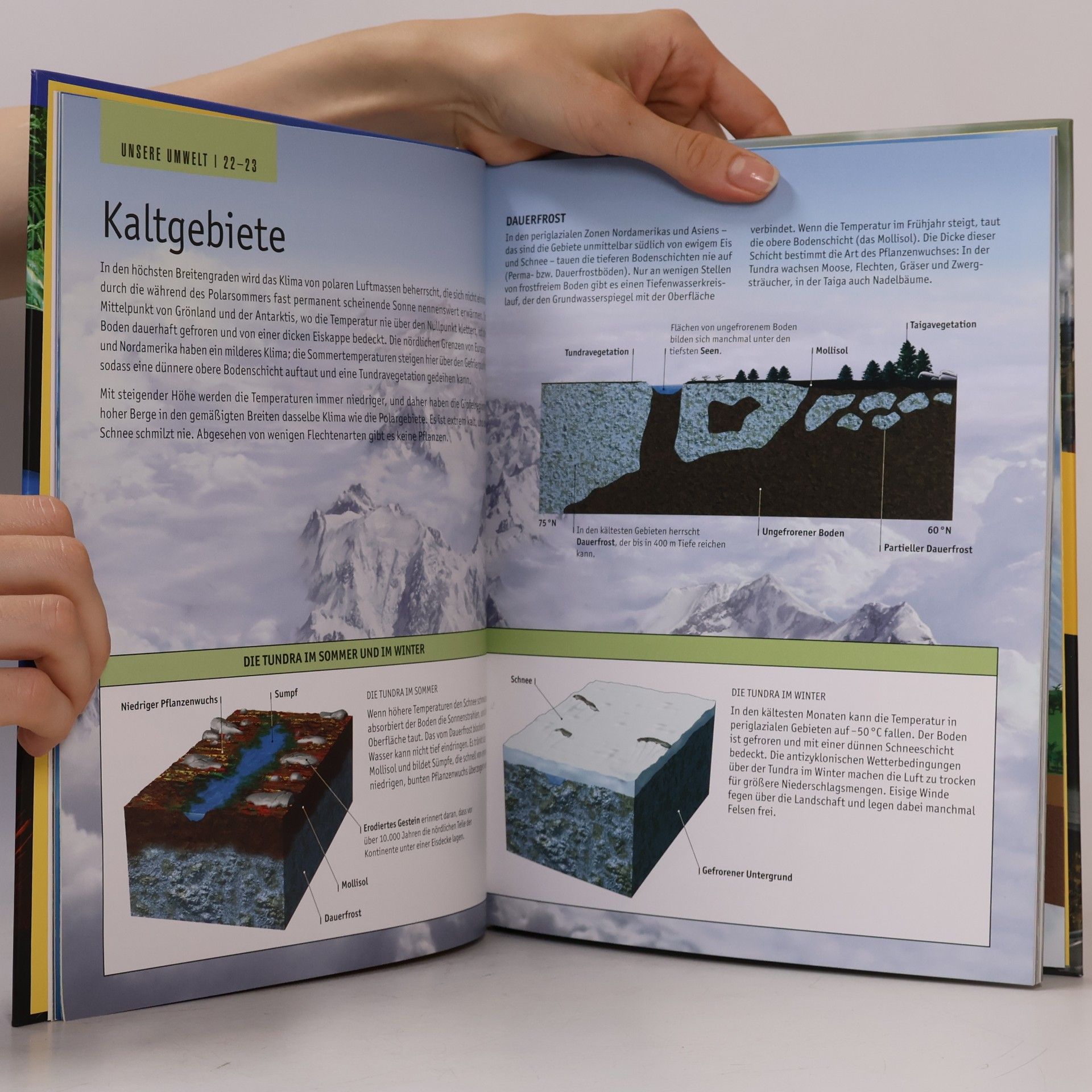 Marie Anne Legault Kostbarer Planet Erde