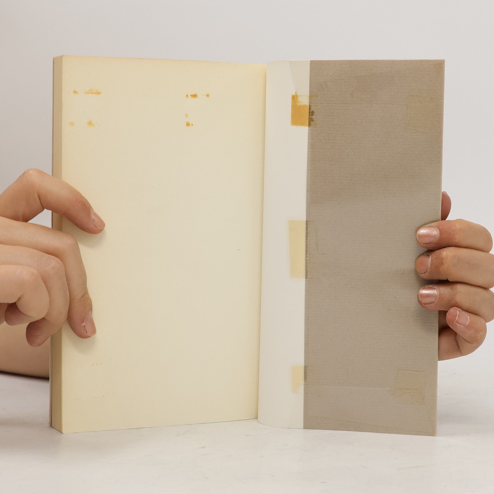 Peter Handke Die Lehre der Sainte-Victoire
