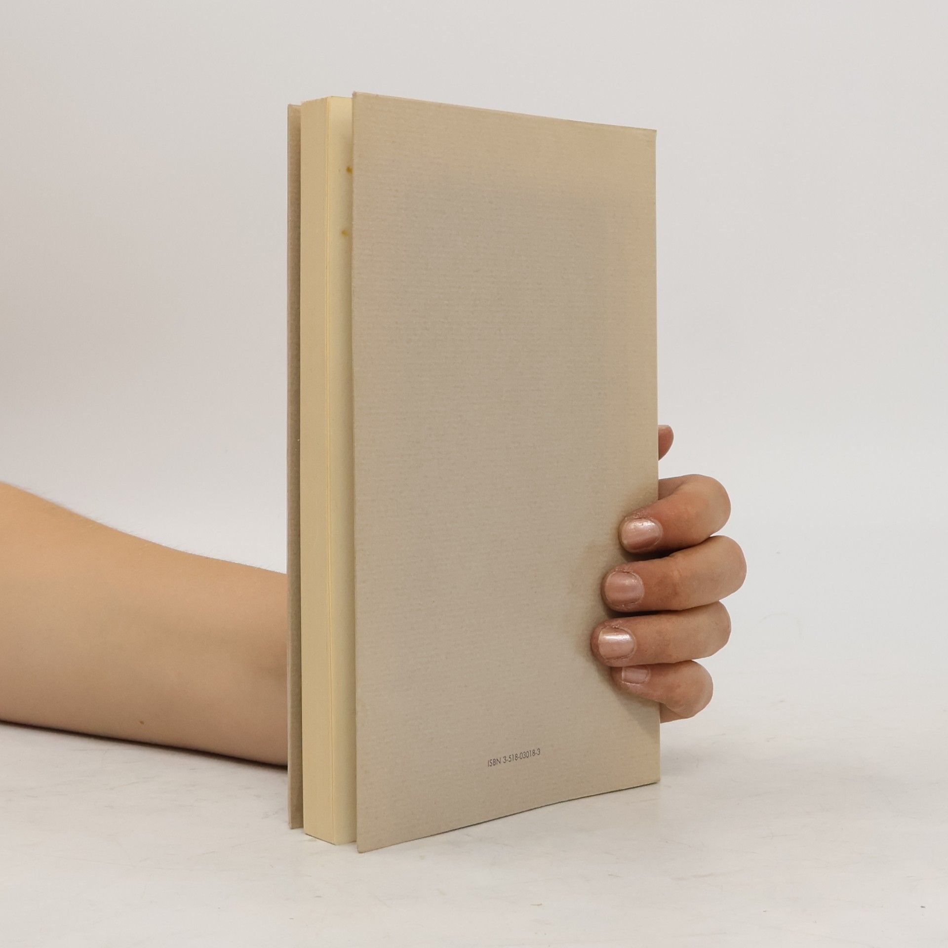 Peter Handke Die Lehre der Sainte-Victoire