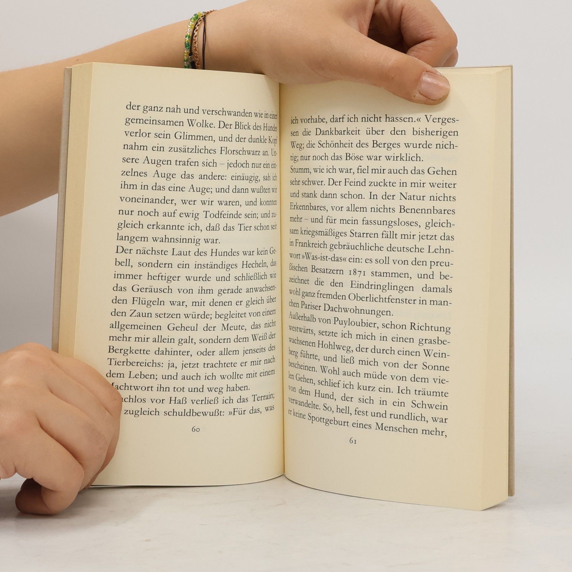Peter Handke Die Lehre der Sainte-Victoire