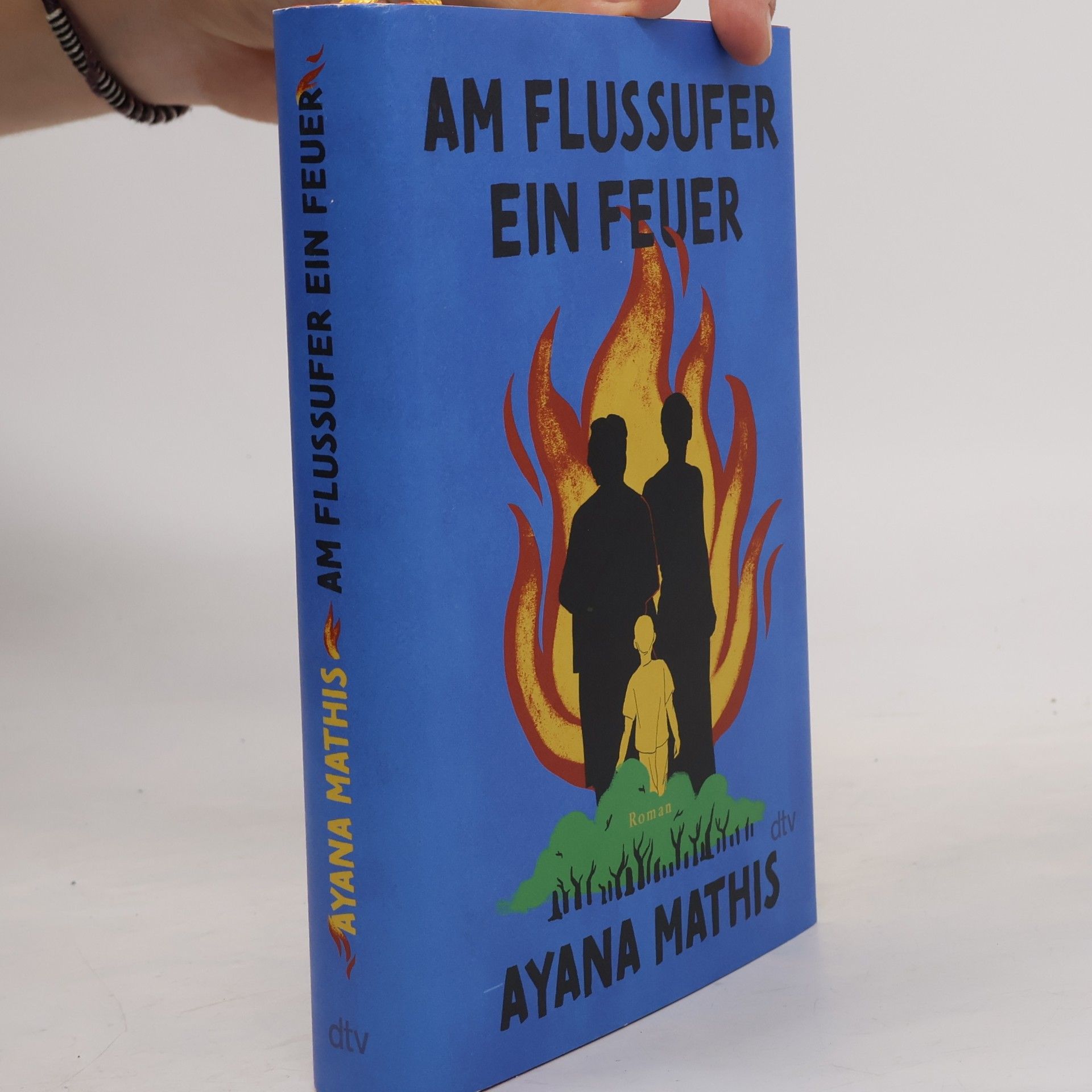 Am Flussufer ein Feuer. Roman