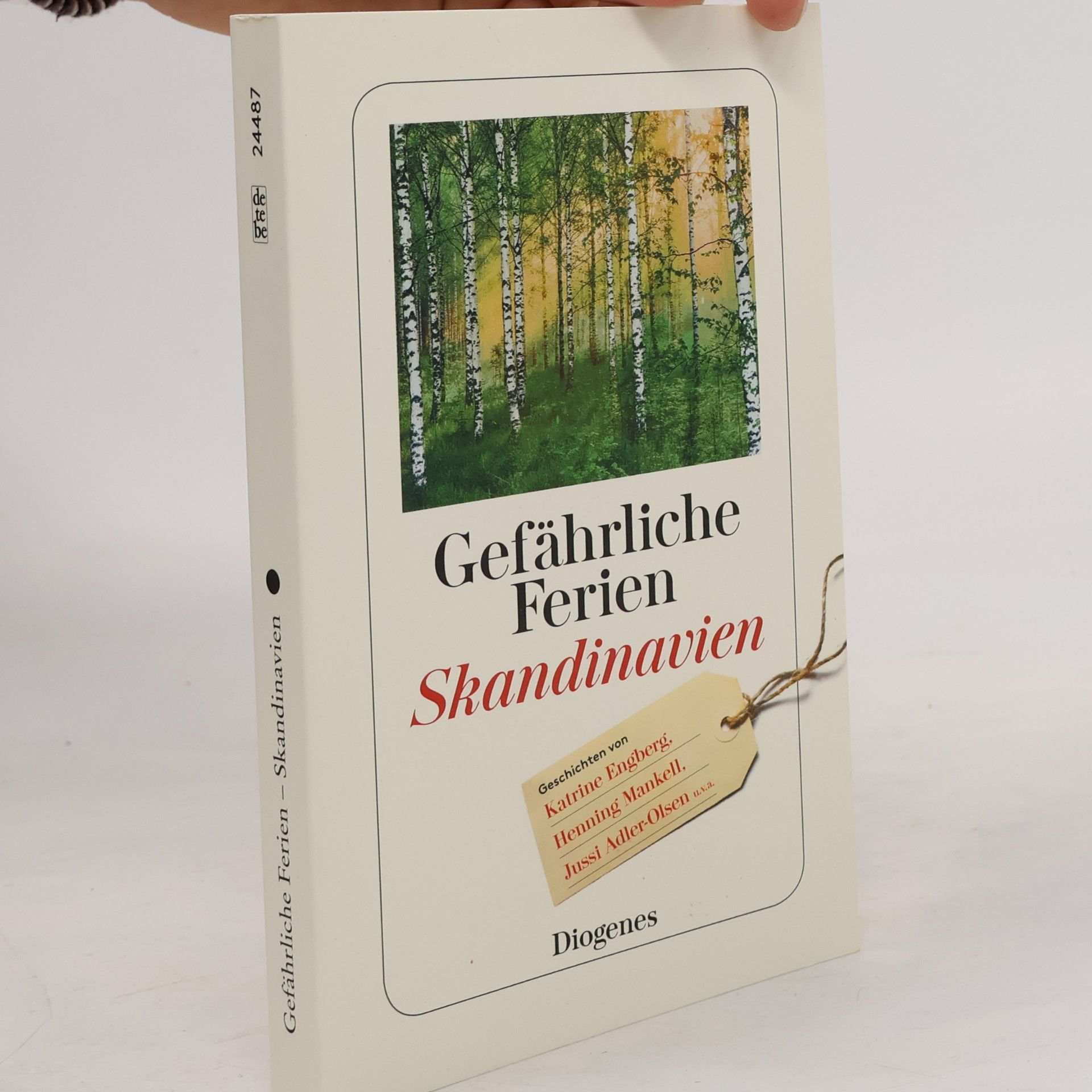 Anna von Planta Gefährliche Ferien - Skandinavien