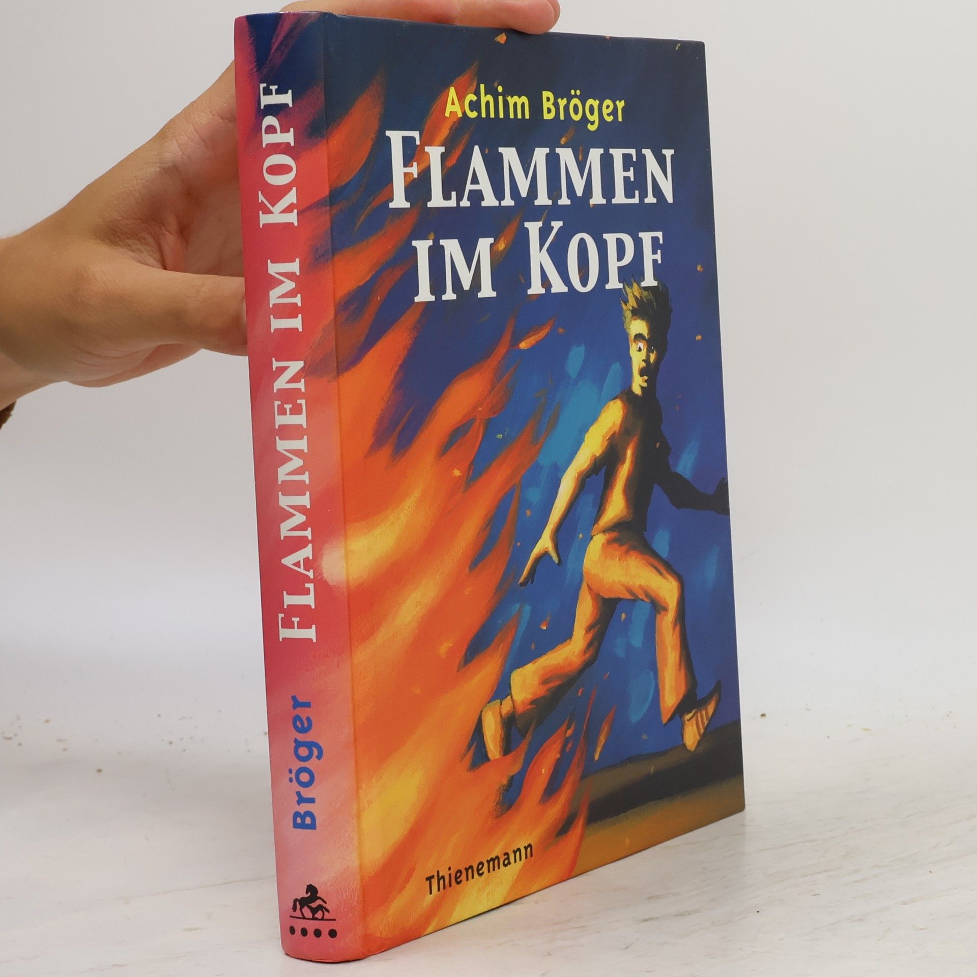 Achim Bröger Flammen im Kopf