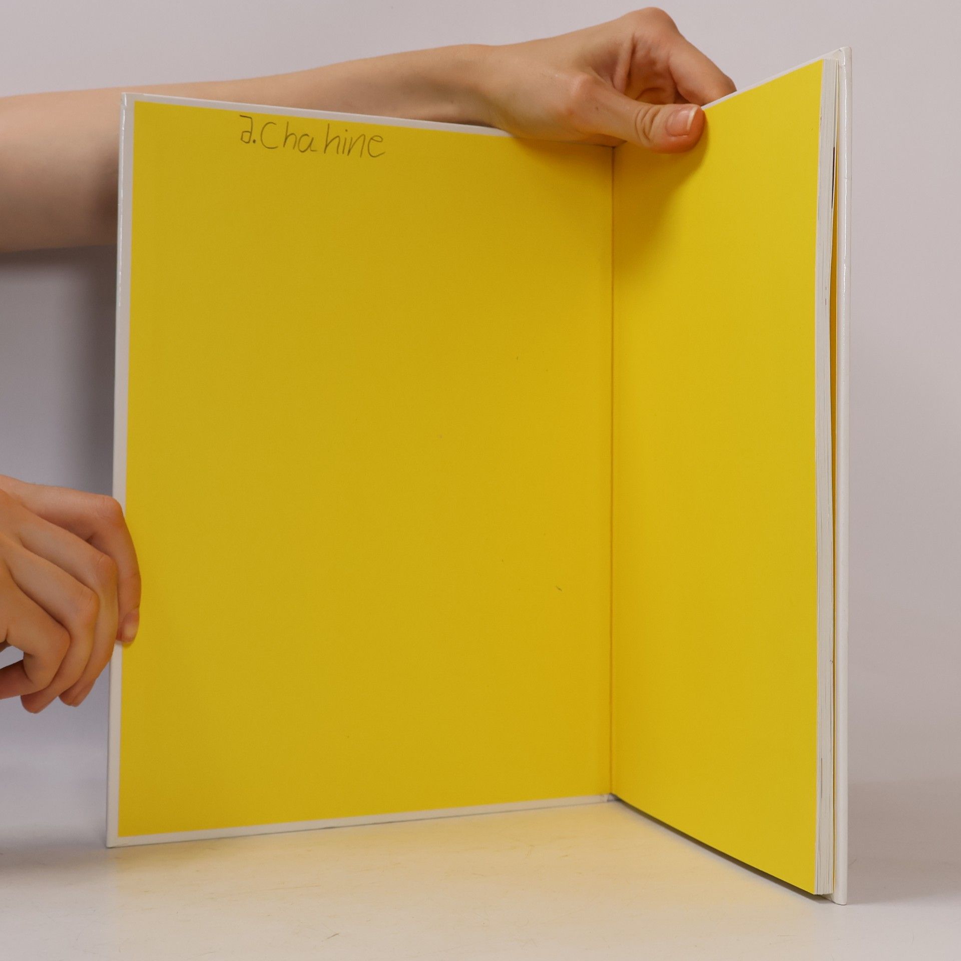Autorenkollektiv Art Attack. Das total Verrückte Bastelbuch