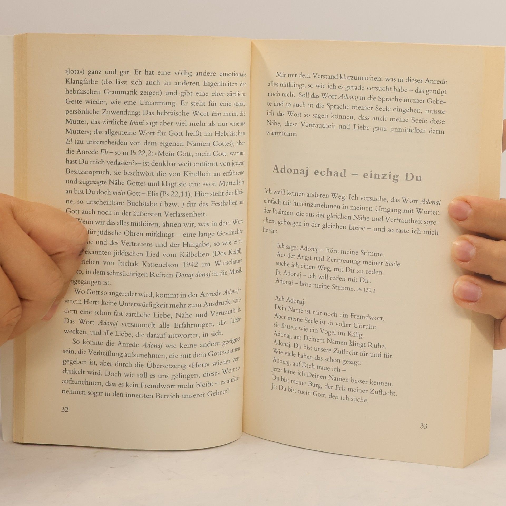 Ingo Baldermann Die Bibel – Buch meiner Sehnsucht