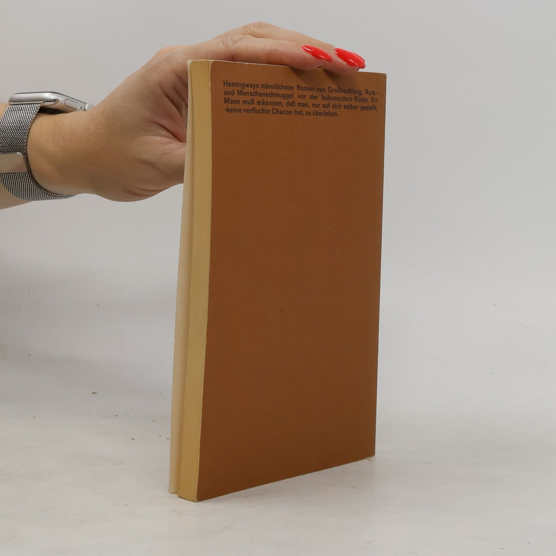 Ernest Hemingway Haben und Nichthaben