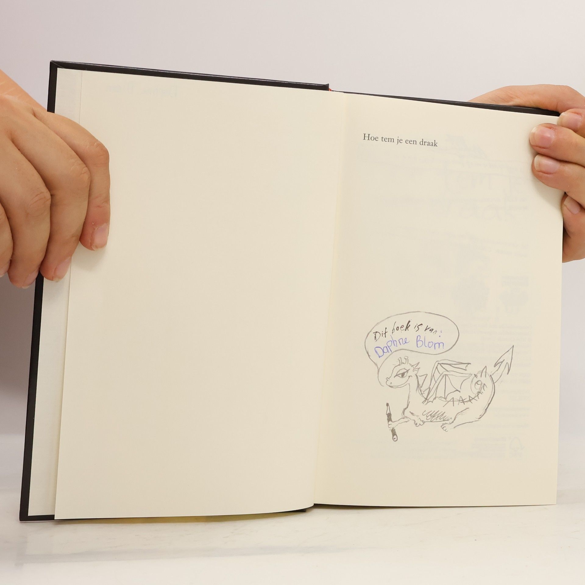 Cressida Cowell Stikkum Stoere Steurkop-serie - 1: Hoe tem je een draak? / druk 1