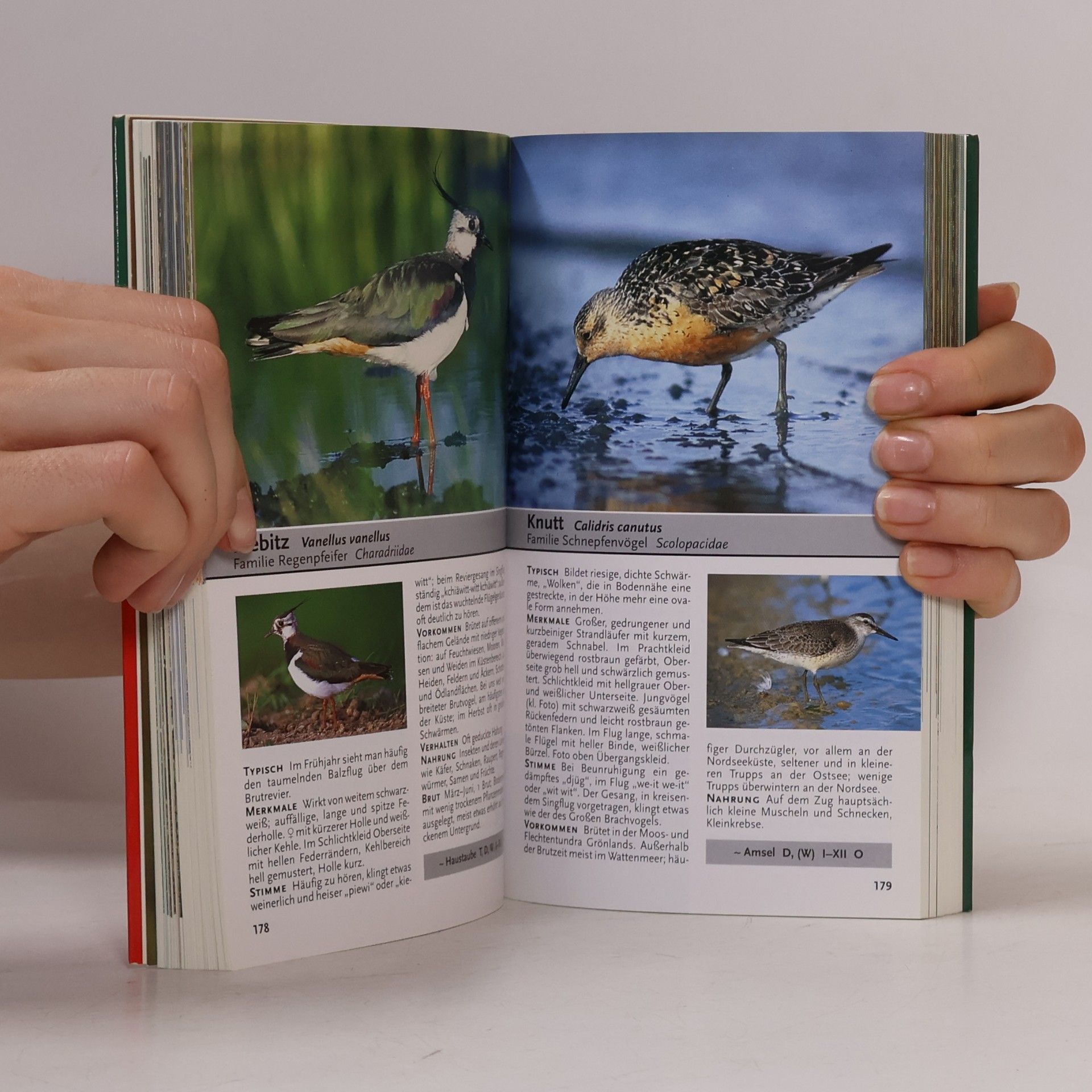 Jean C. Roché Was fliegt denn da? Der Fotoband