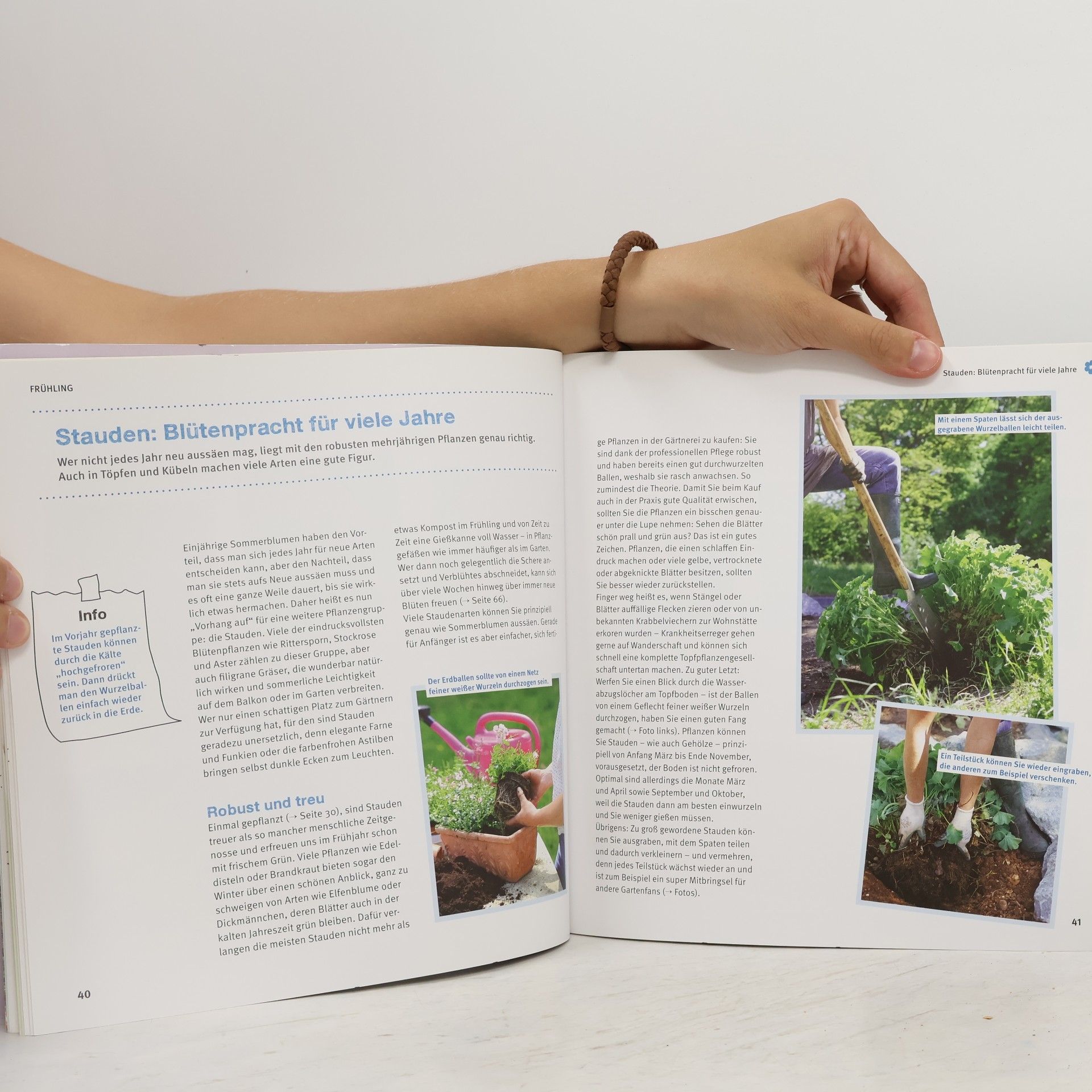 Mascha Schacht Garten-Basics