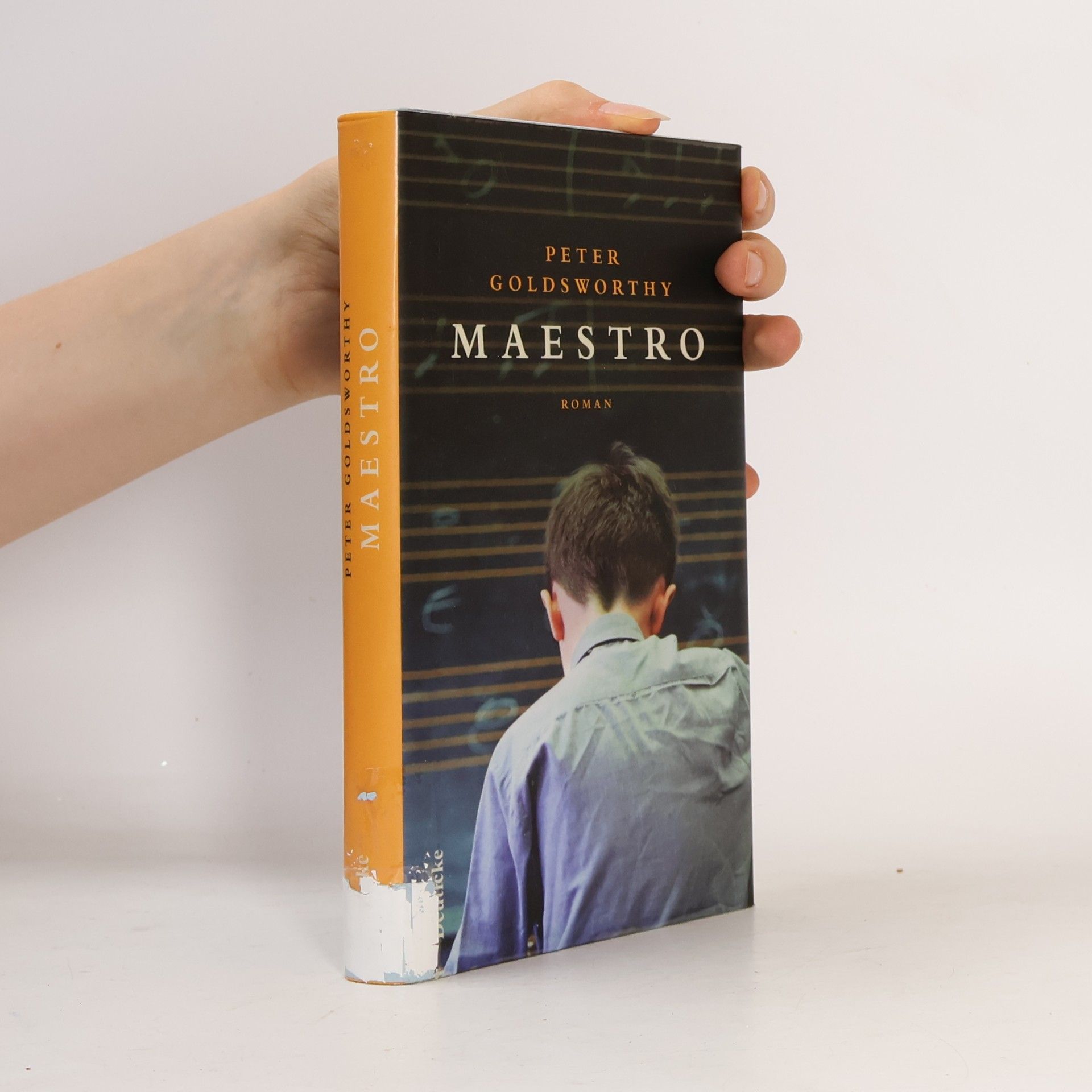 Peter Goldsworthy Maestro