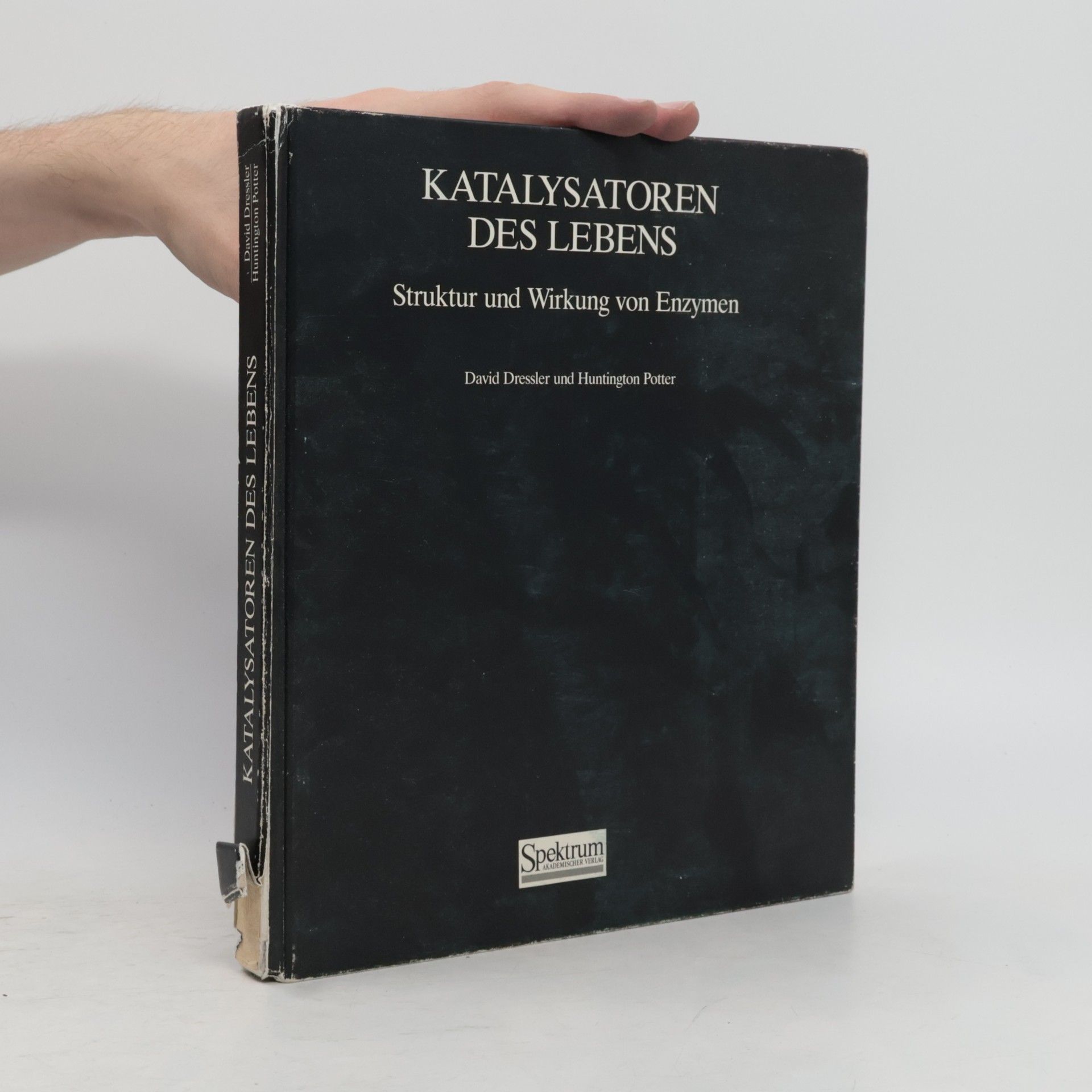 Katalysatoren des Lebens: Struktur und Wirkung von Enzymen