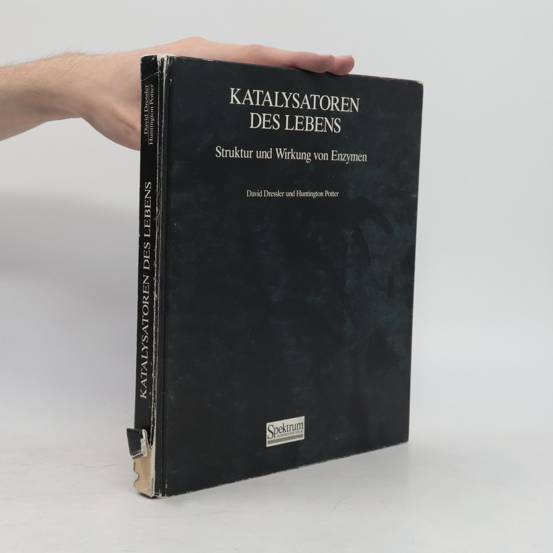 David Dressler Katalysatoren des Lebens: Struktur und Wirkung von Enzymen