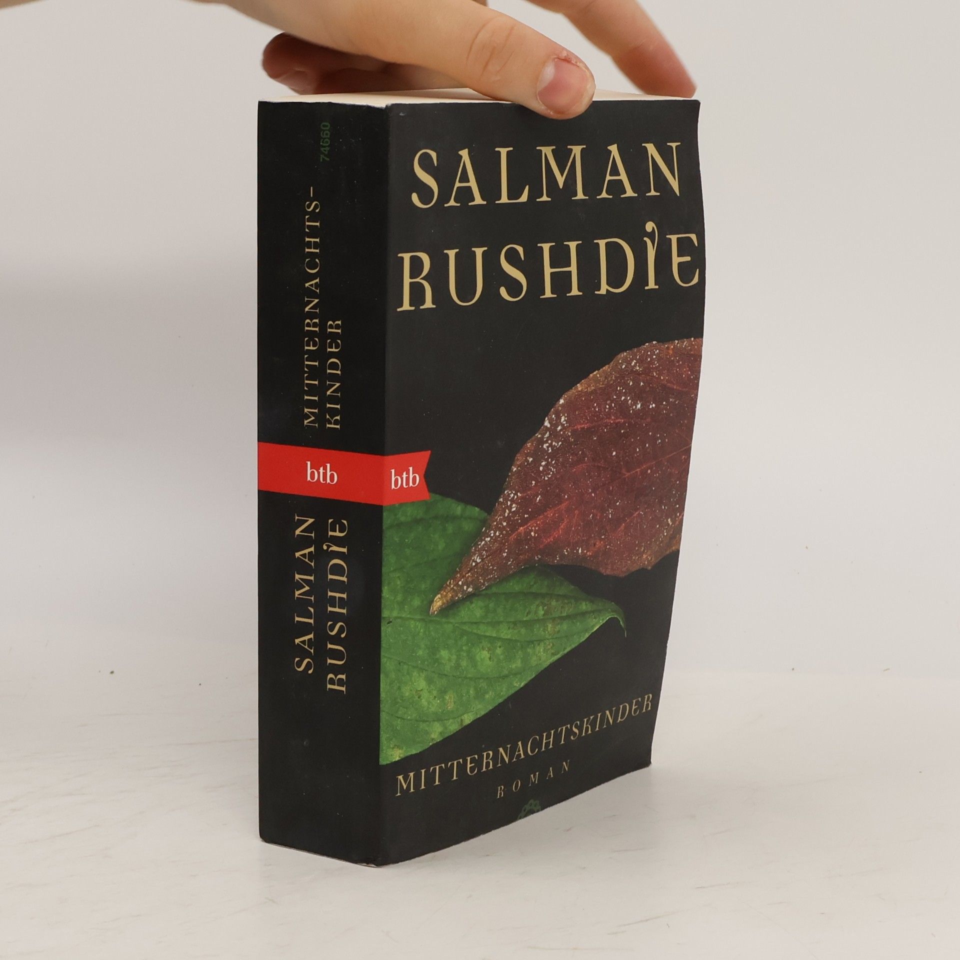 Salman Rushdie Mitternachtskinder