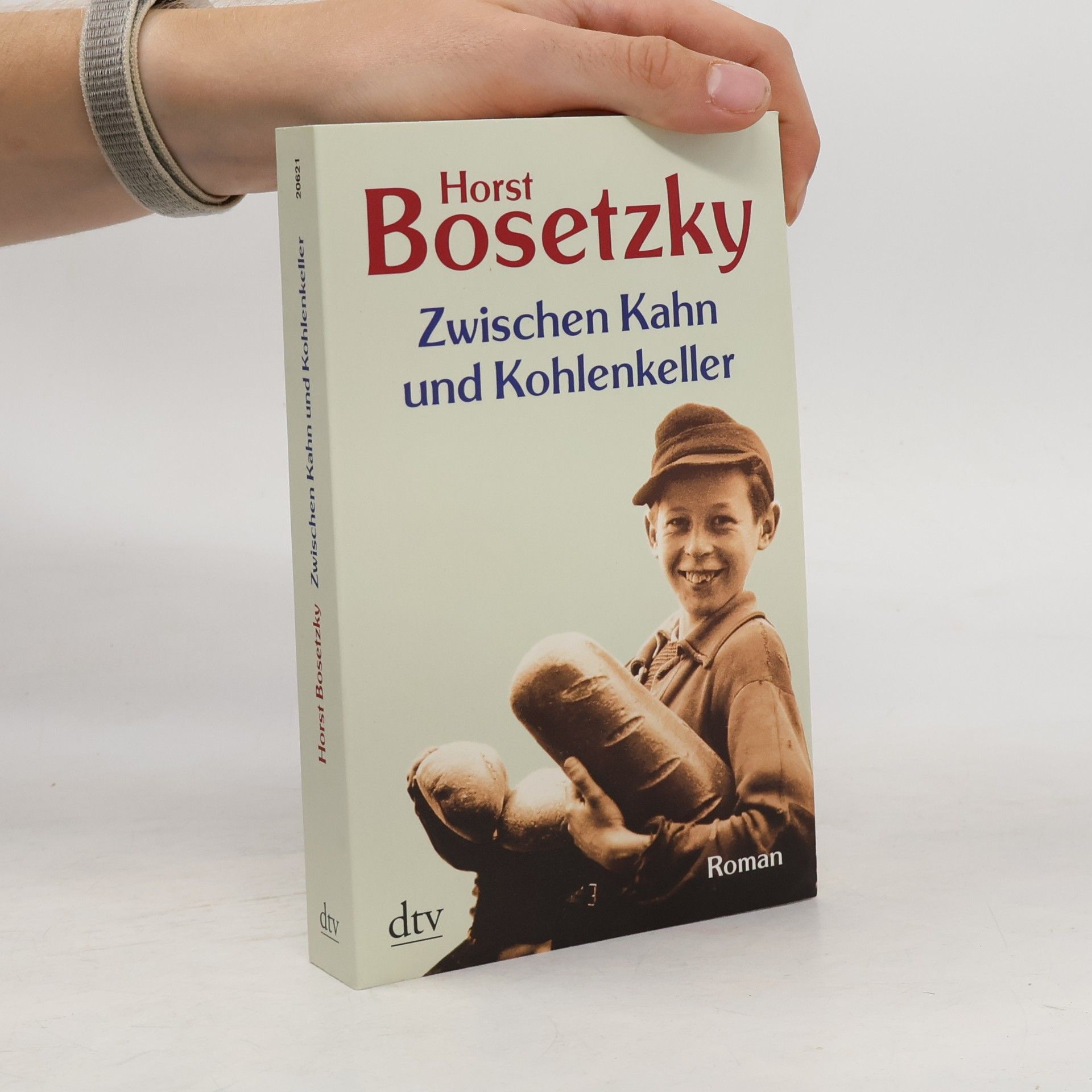 Horst Bosetzky Zwischen Kahn und Kohlenkeller