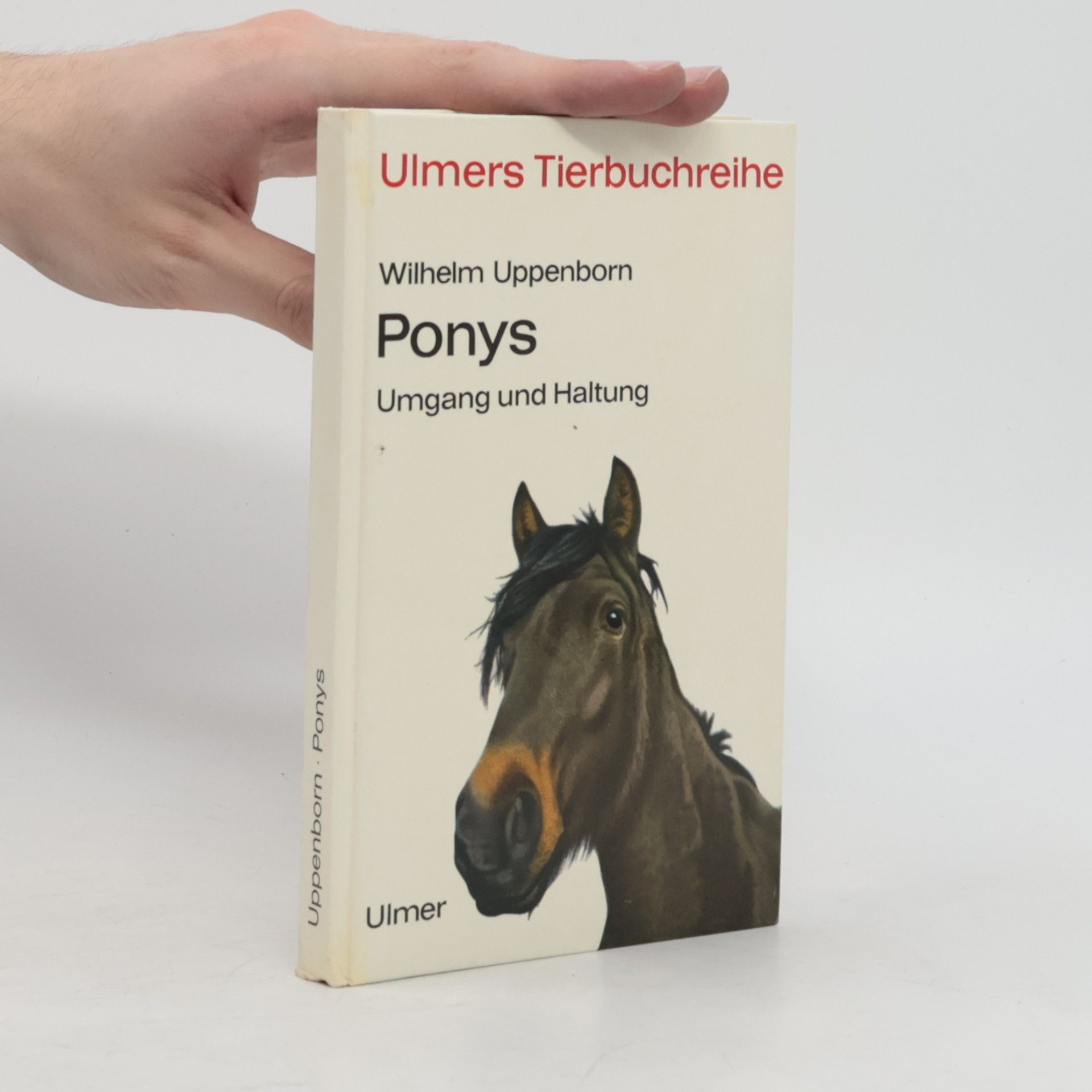 Wilhelm Uppenborn Ponys