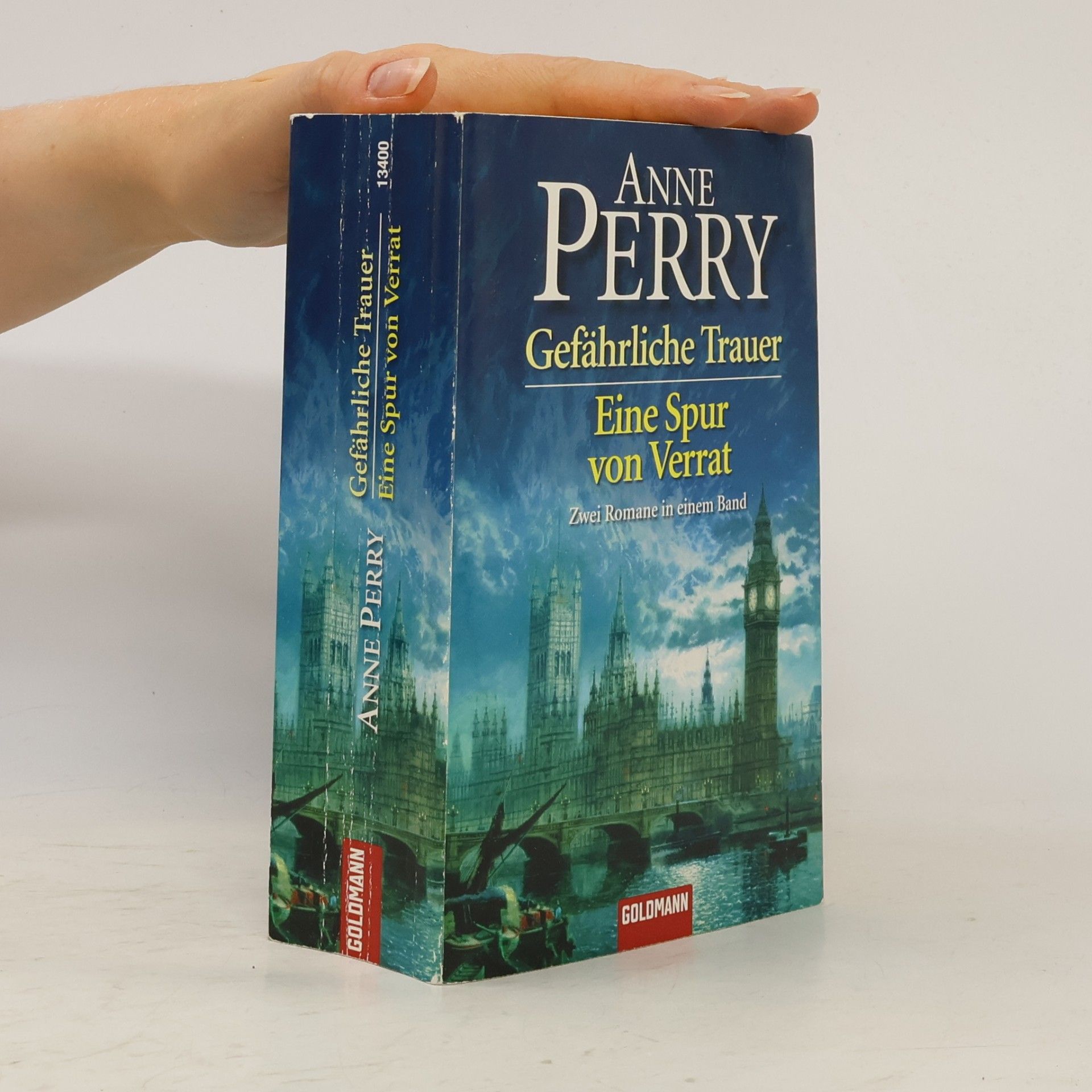 Anne Perry Gefährliche Trauer