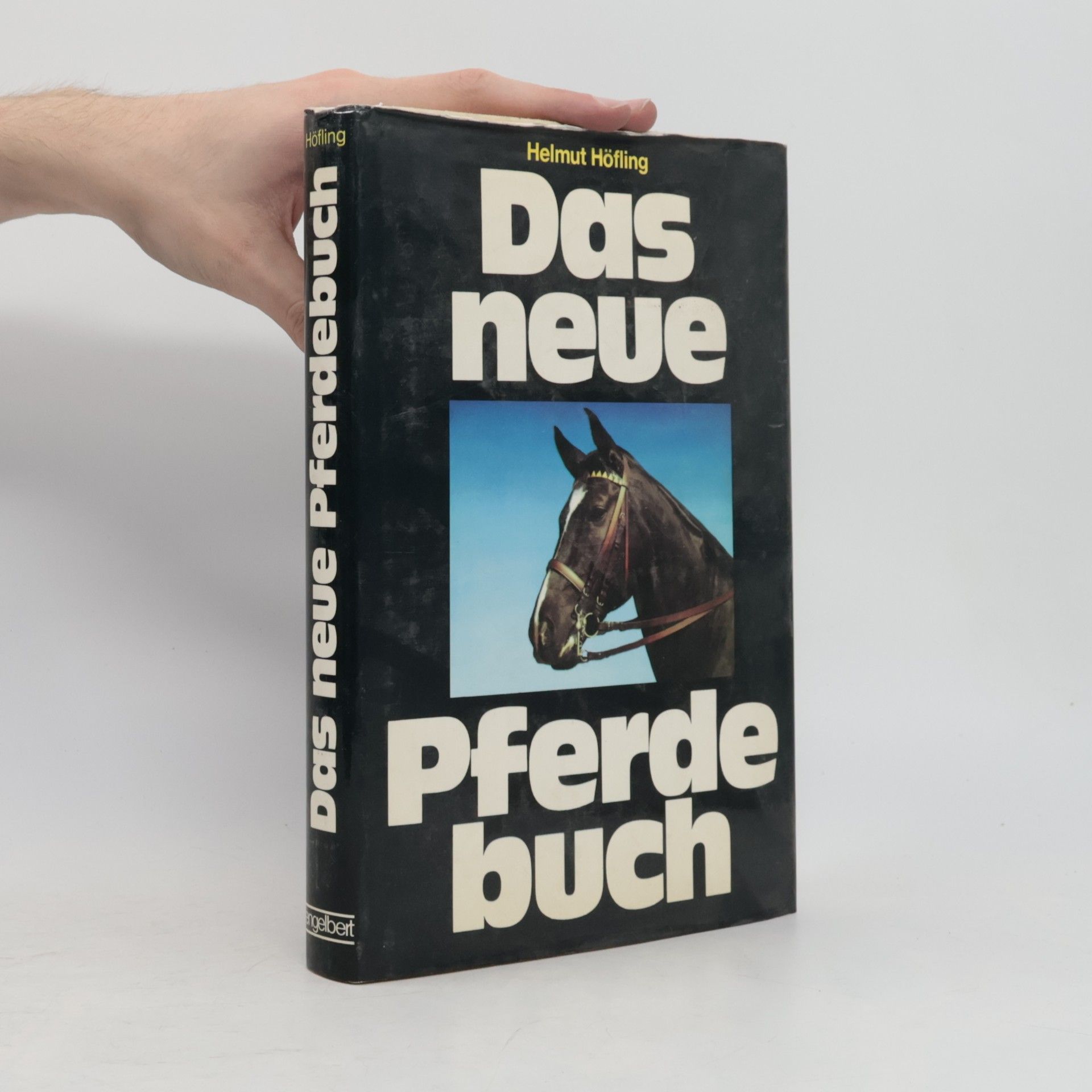 Das neue Pferdebuch